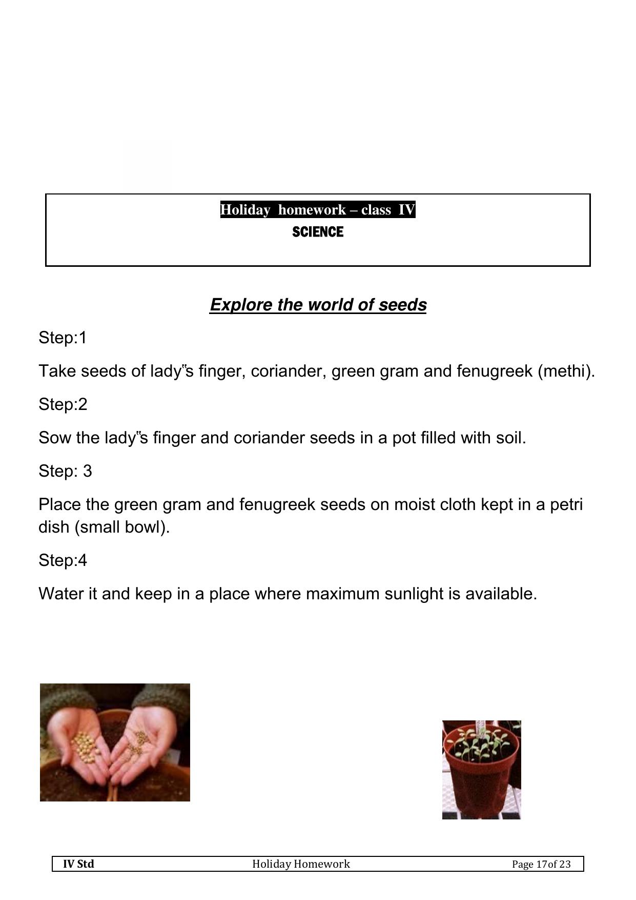 Worksheet for Class 4 Science World of Seeds Assignment - Page 1