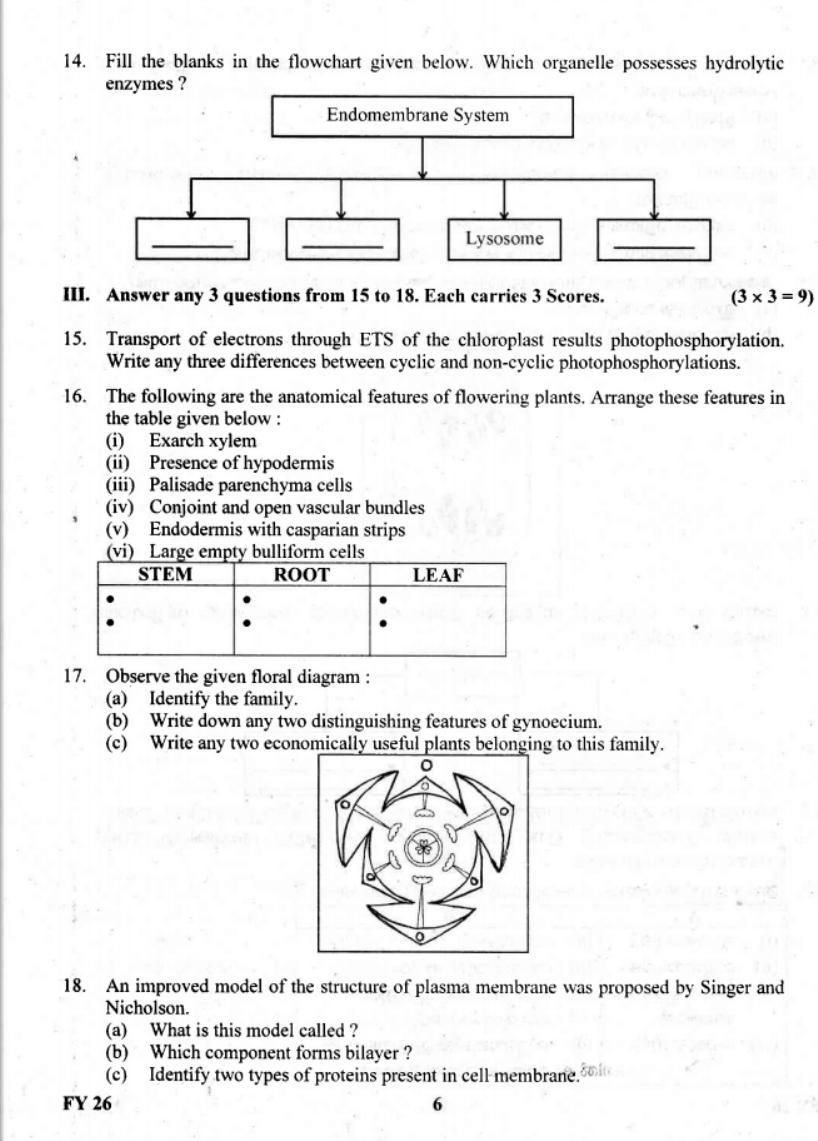 Kerala Plus One 2019 Biology Question Paper - Page 6
