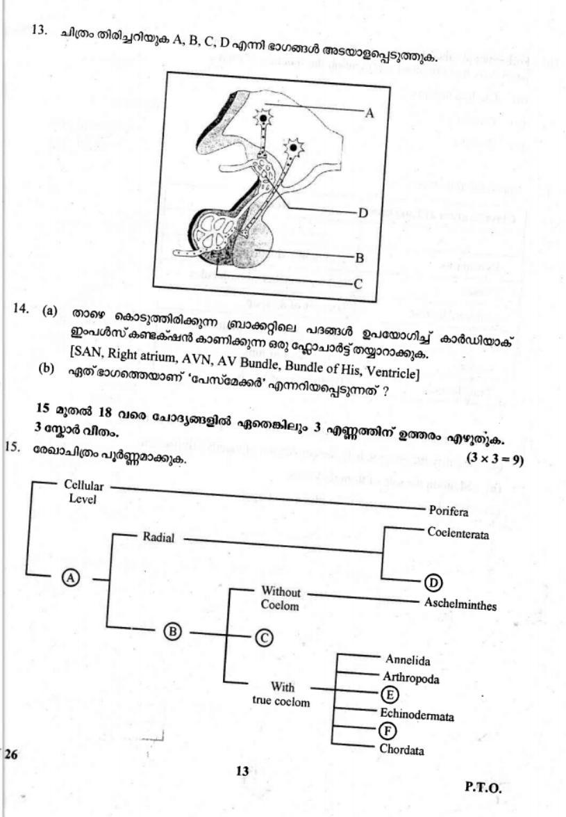 Kerala Plus One 2019 Biology Question Paper - Page 13