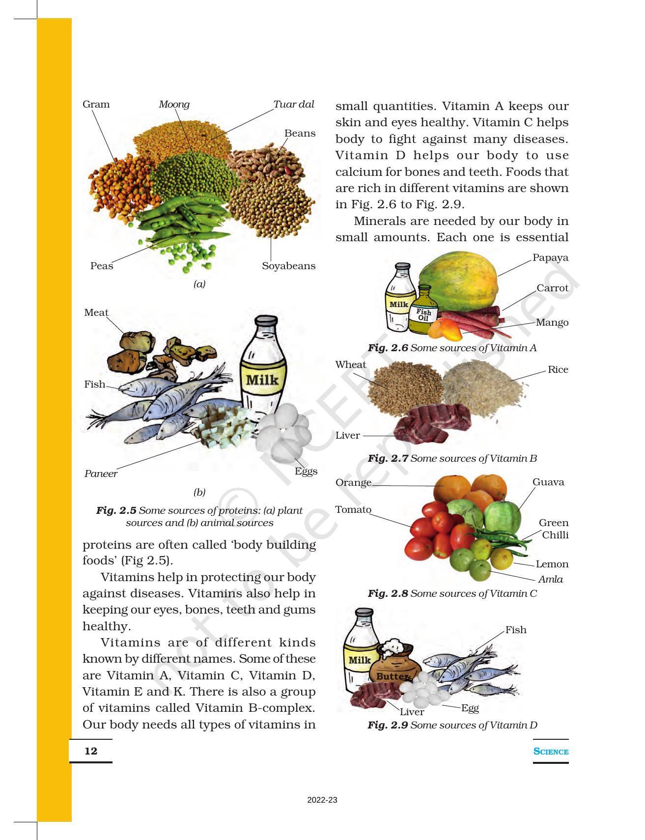 NCERT Book for Class 6 Science: Chapter 2-Components of Food - Page 5