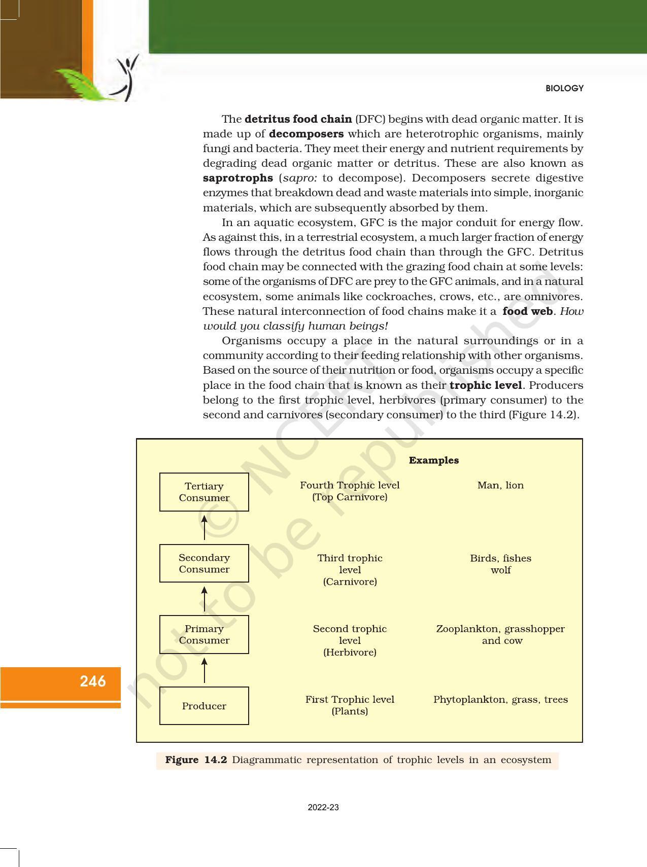 NCERT Book for Class 12 Biology Chapter 14 Ecosystem - Page 6