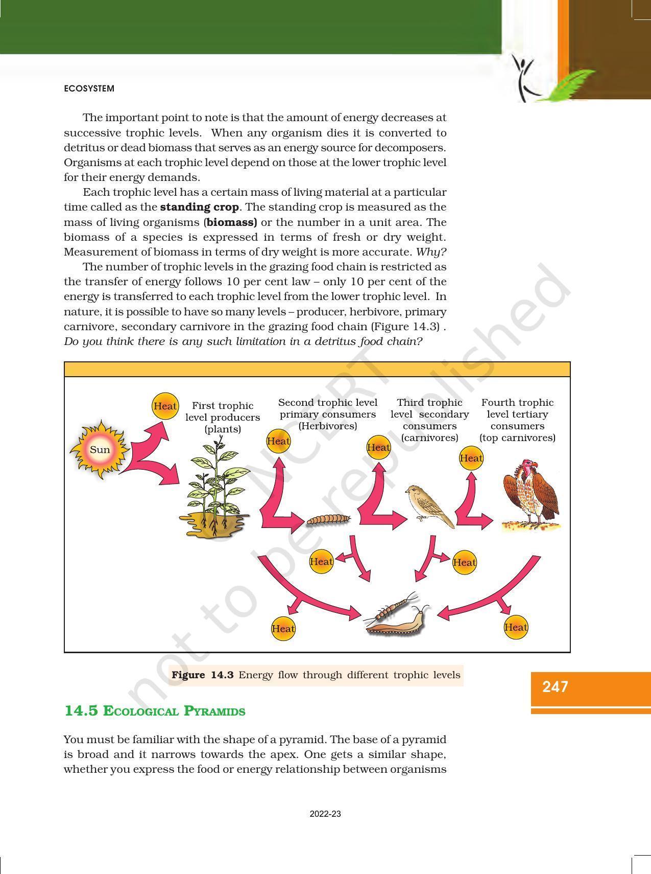 NCERT Book for Class 12 Biology Chapter 14 Ecosystem - Page 7