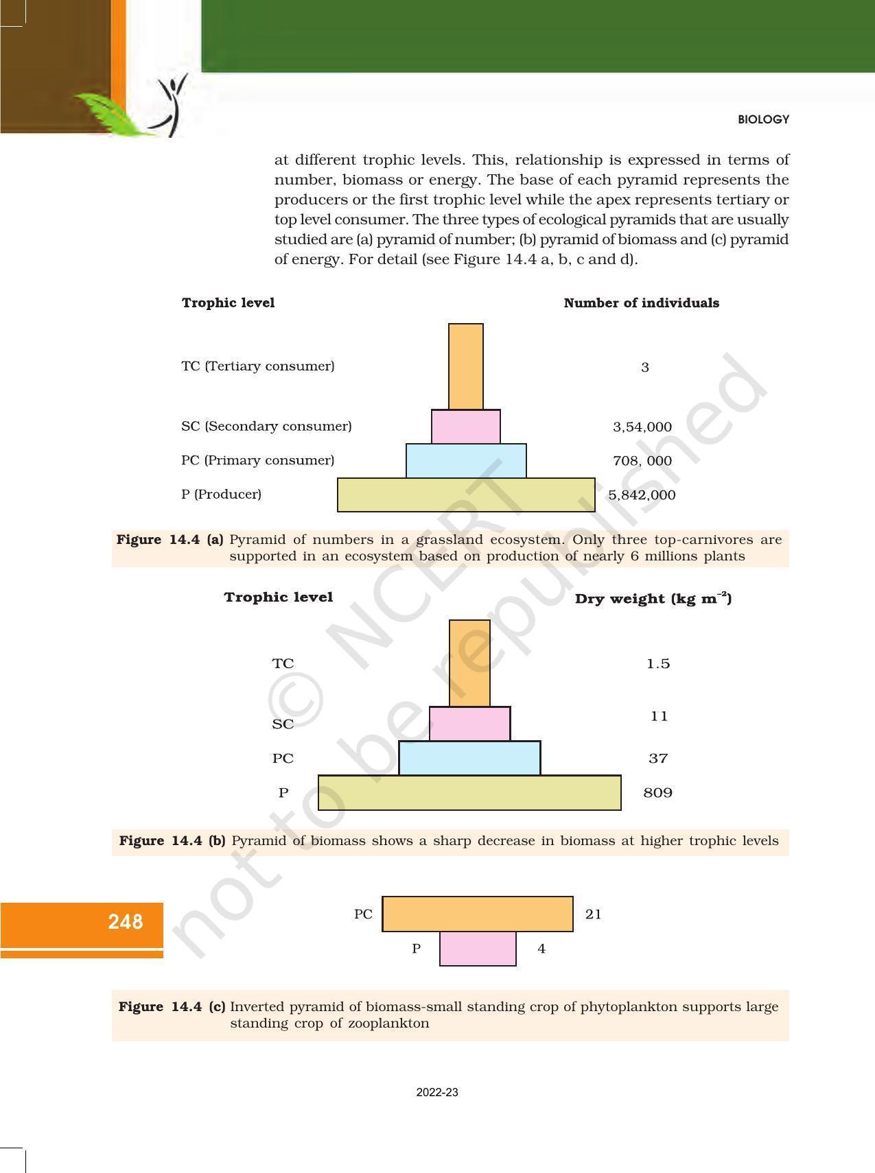 NCERT Book for Class 12 Biology Chapter 14 Ecosystem - Page 8