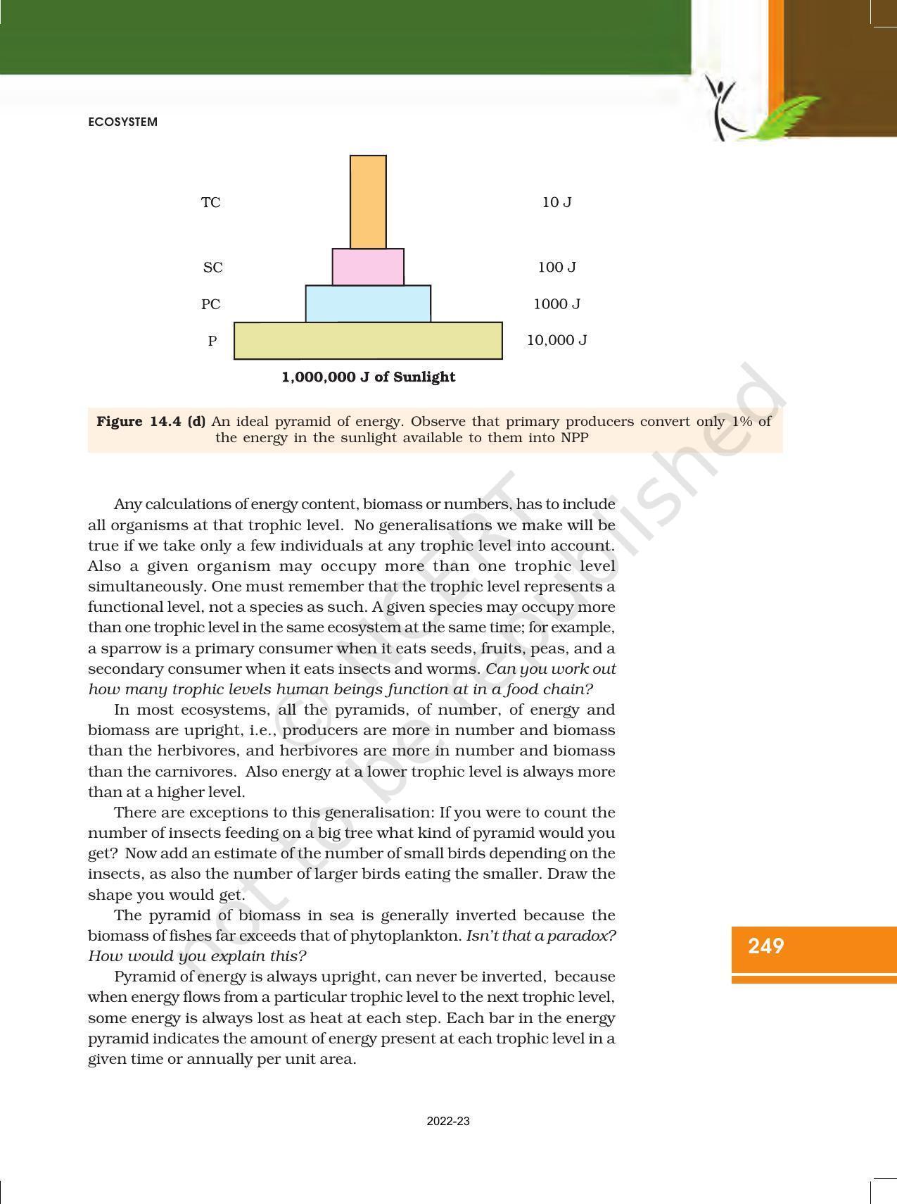 NCERT Book for Class 12 Biology Chapter 14 Ecosystem - Page 9