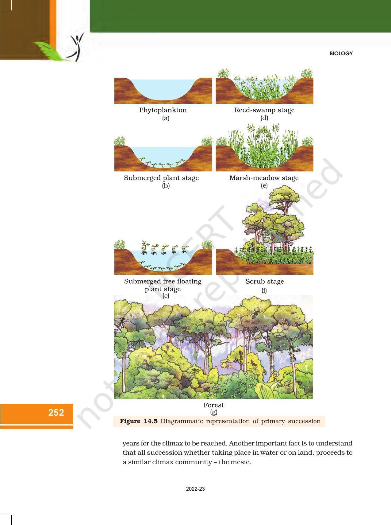 NCERT Book for Class 12 Biology Chapter 14 Ecosystem - Page 12