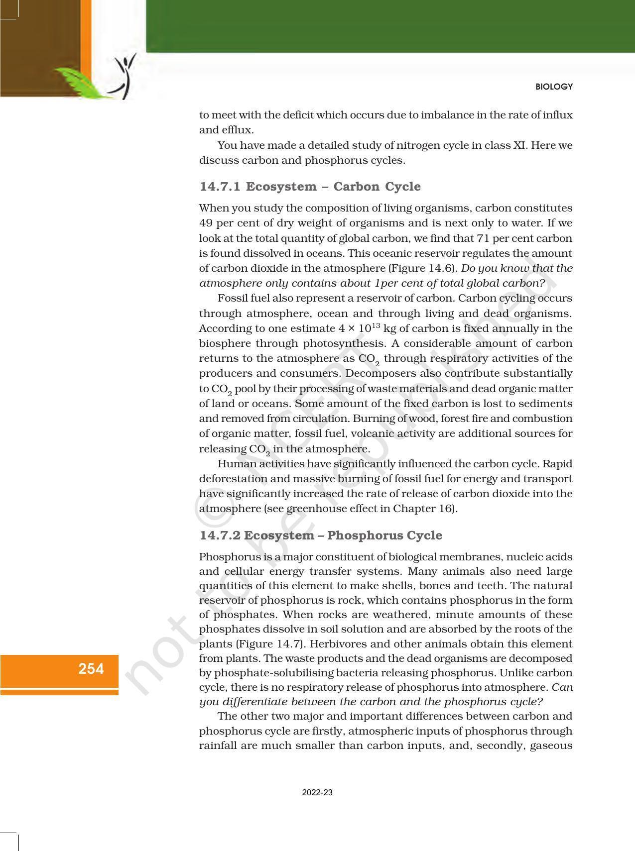 NCERT Book for Class 12 Biology Chapter 14 Ecosystem - Page 14