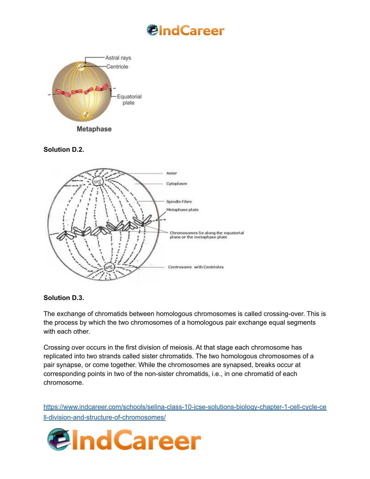 Selina Class 10 ICSE Solutions Biology : Chapter 1- Cell Cycle, Cell Division and Structure of Chromosomes - Page 7