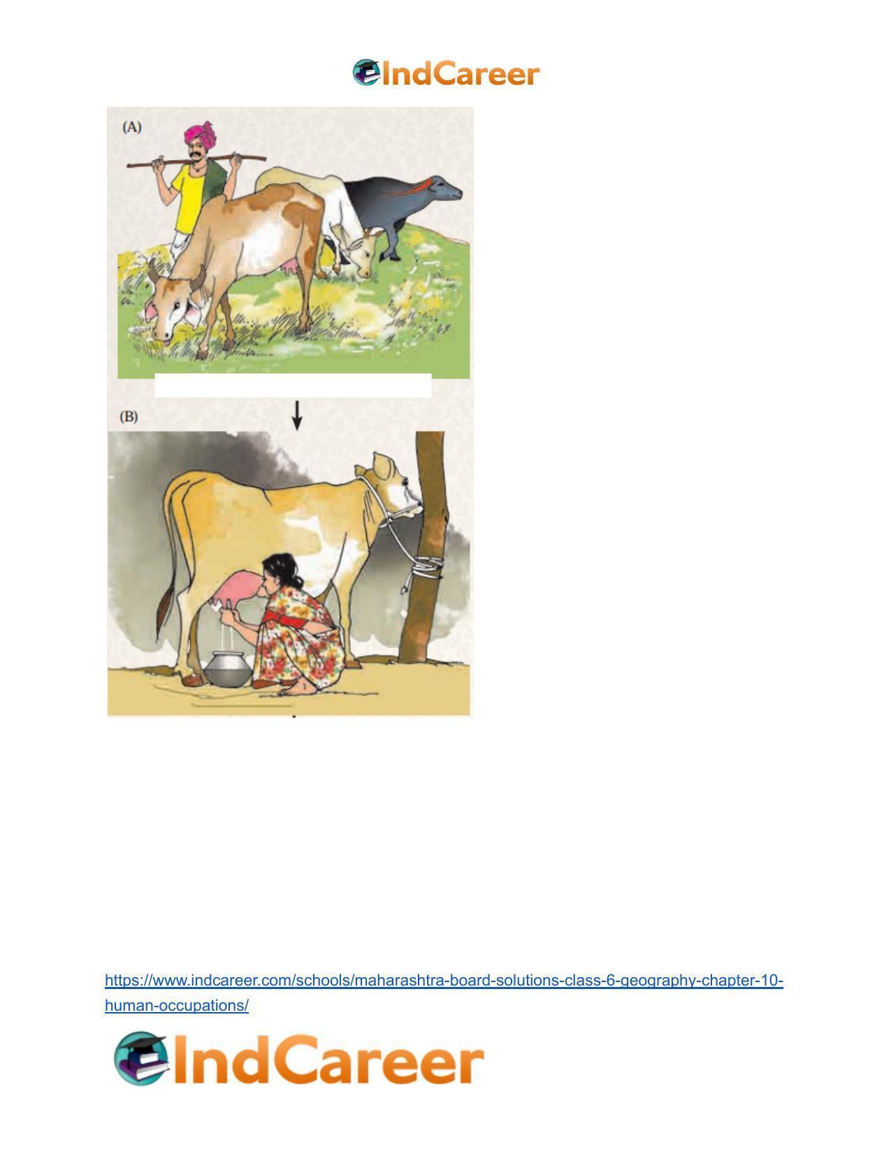 Maharashtra Board Solutions Class 6-Geography: Chapter 10- Human Occupations - Page 5