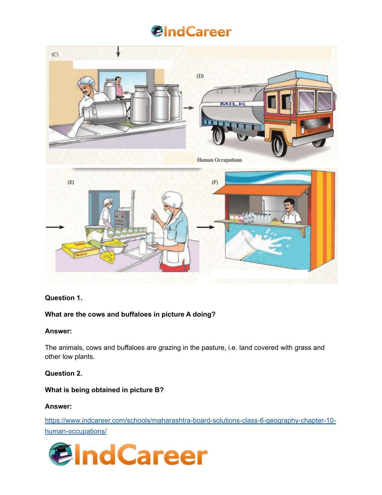 Maharashtra Board Solutions Class 6-Geography: Chapter 10- Human Occupations - Page 6