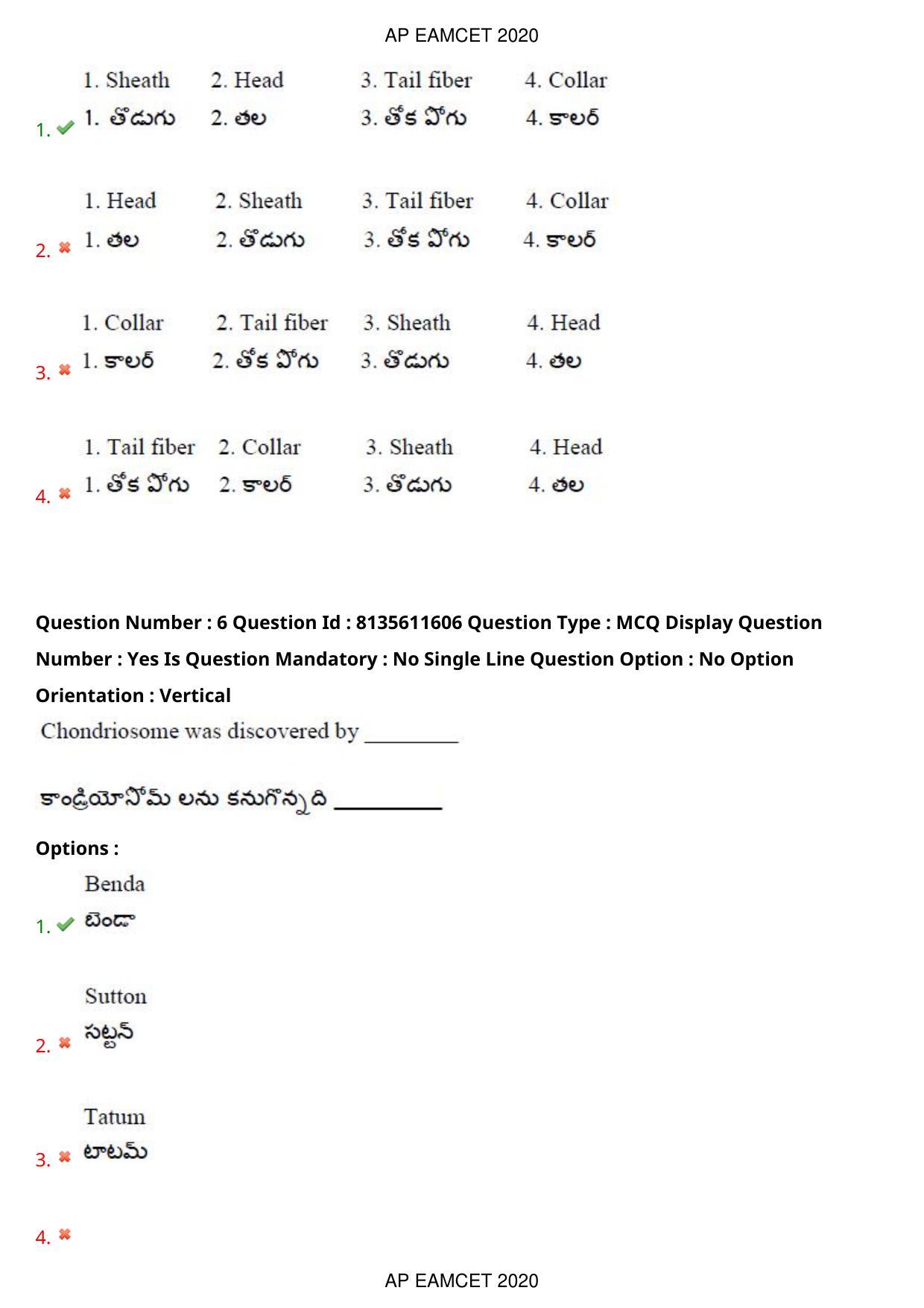 TS EAMCET 2020 Agriculture and Medical Question Paper with Key (24 Sep.2020 Forenoon) - Page 6