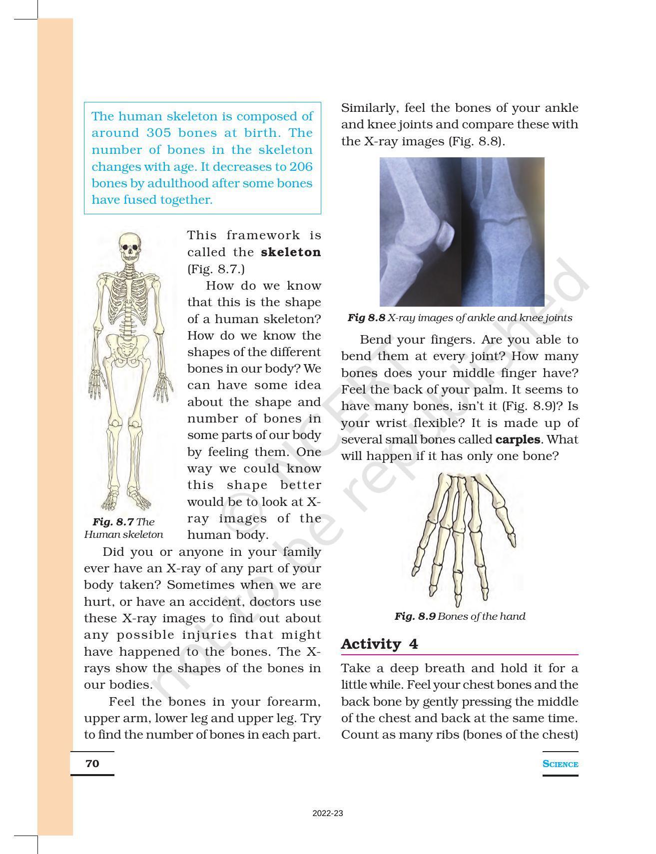 NCERT Book for Class 6 Science: Chapter 8-Body Movement - Page 5