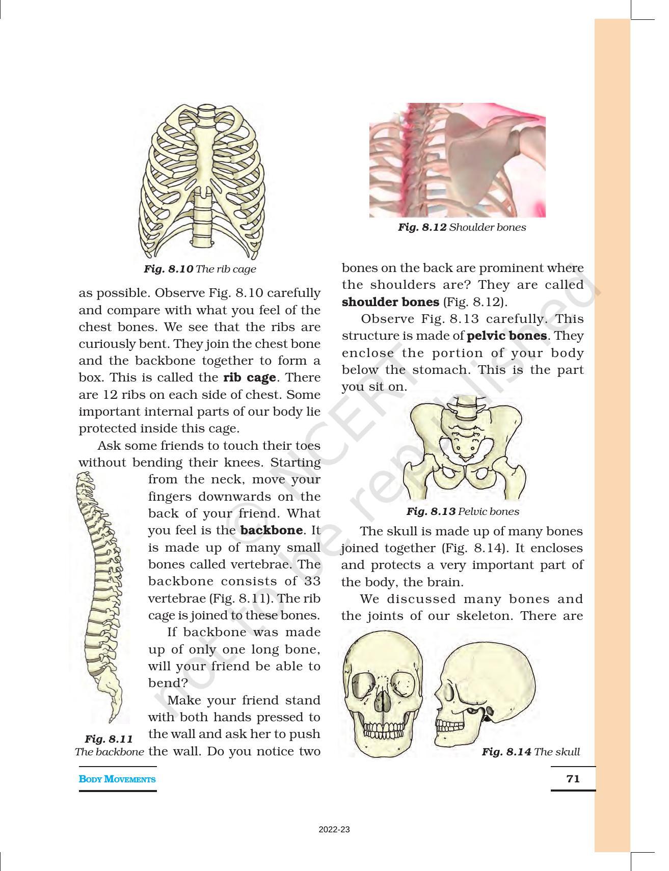 NCERT Book for Class 6 Science: Chapter 8-Body Movement - Page 6