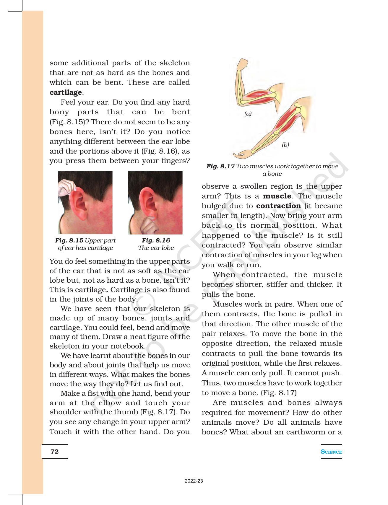 NCERT Book for Class 6 Science: Chapter 8-Body Movement - Page 7