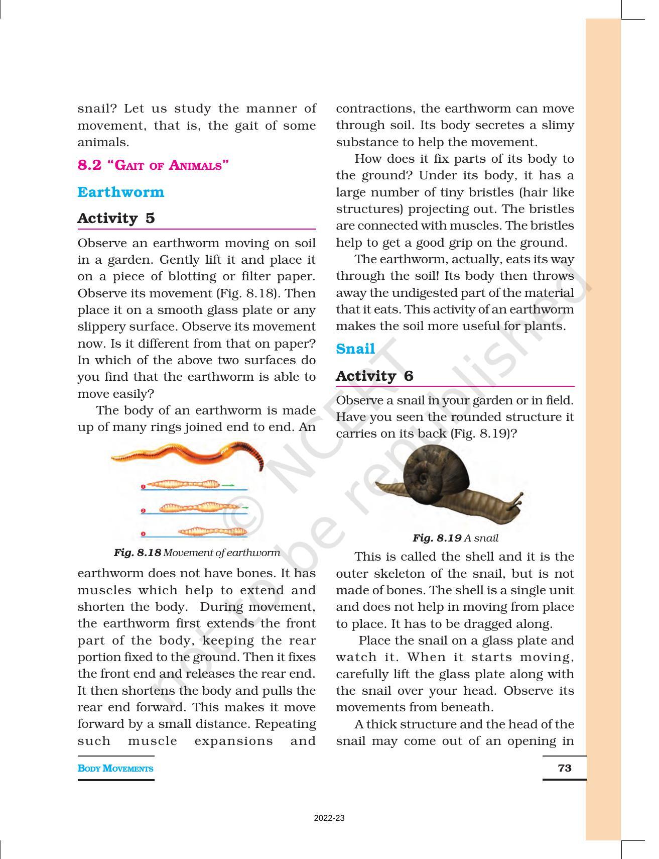 NCERT Book for Class 6 Science: Chapter 8-Body Movement - Page 8