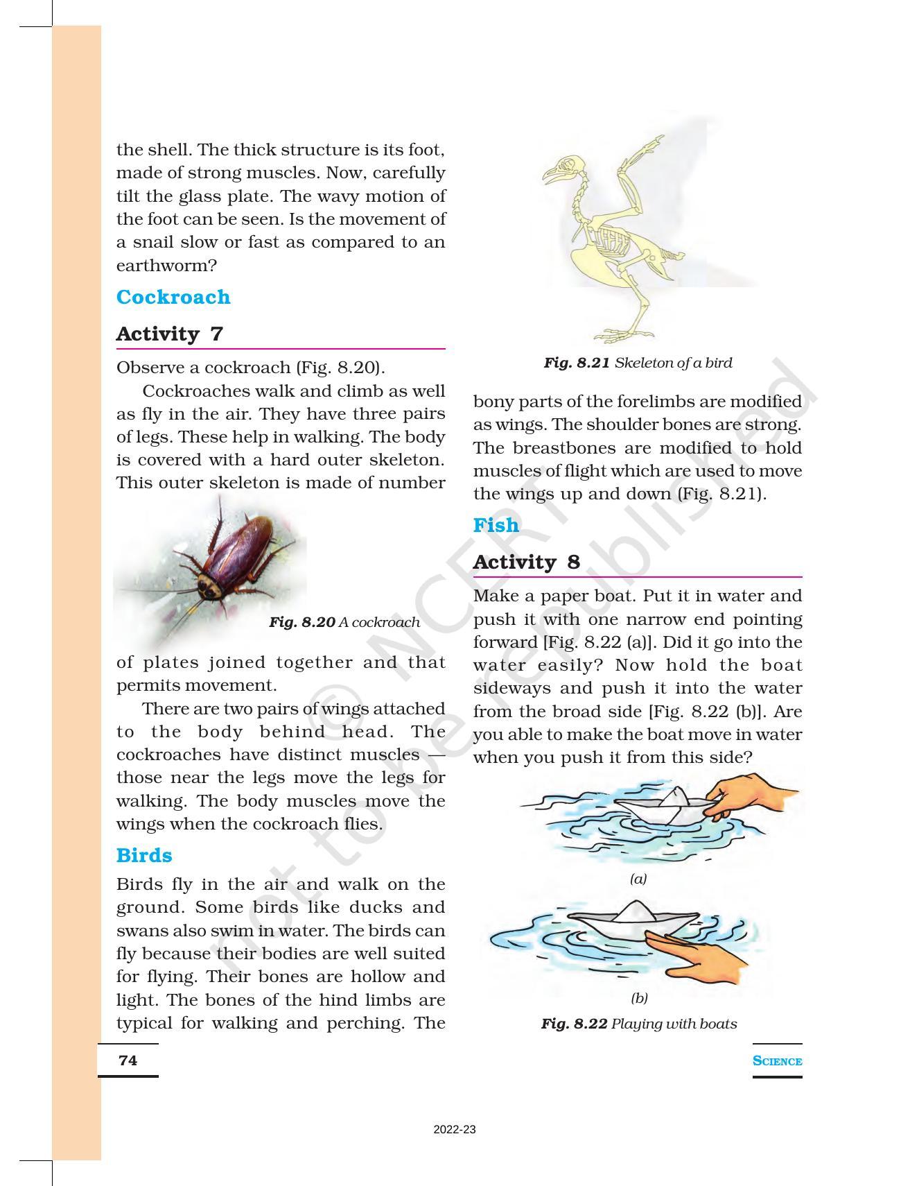NCERT Book for Class 6 Science: Chapter 8-Body Movement - Page 9