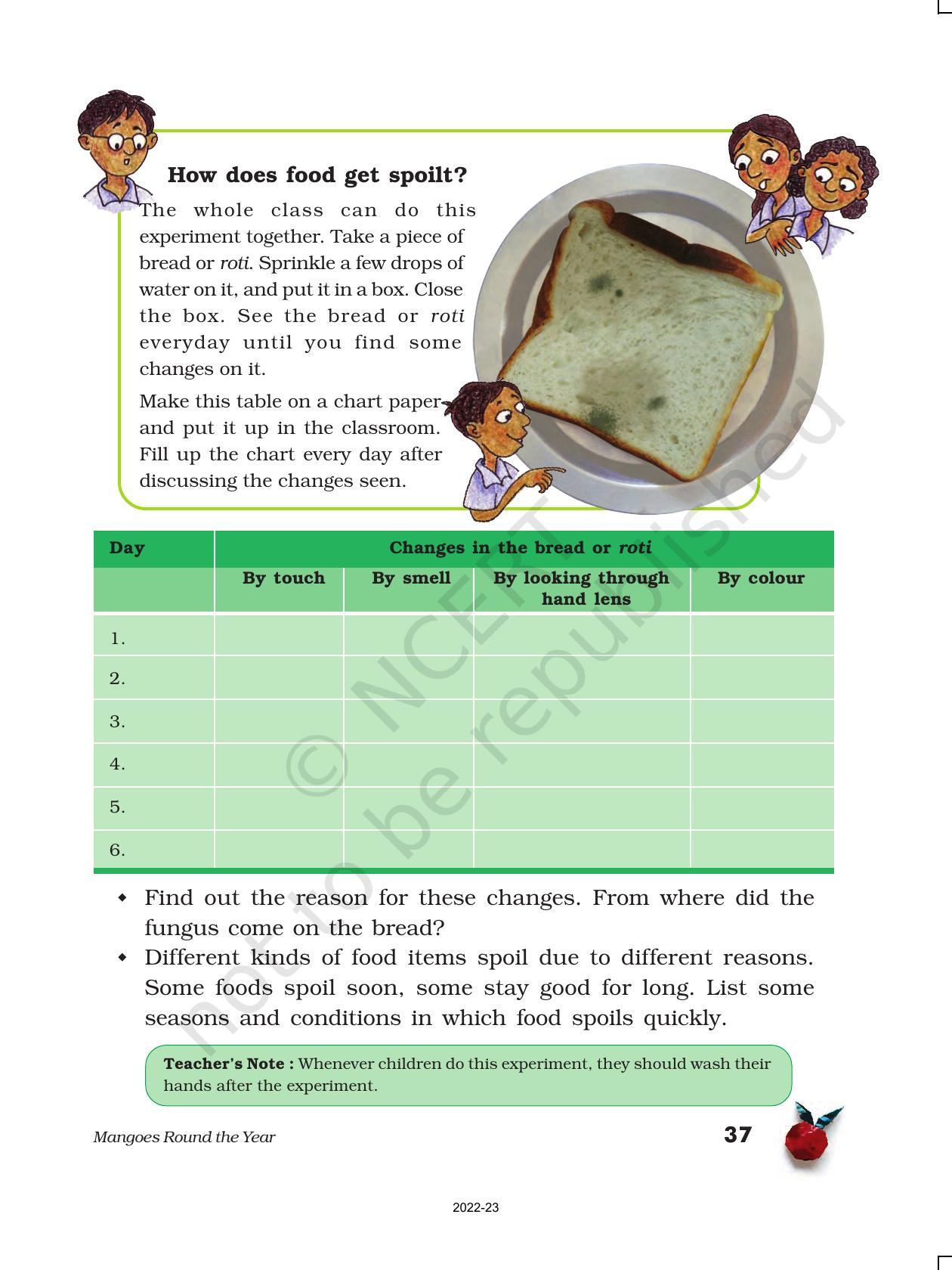 NCERT Book For Class 5 EVS Chapter 4 Mangoes Round The Year IndCareer ncert-book-for-class-5-evs-chapter-4-mangoes-round-the-year-indcareer