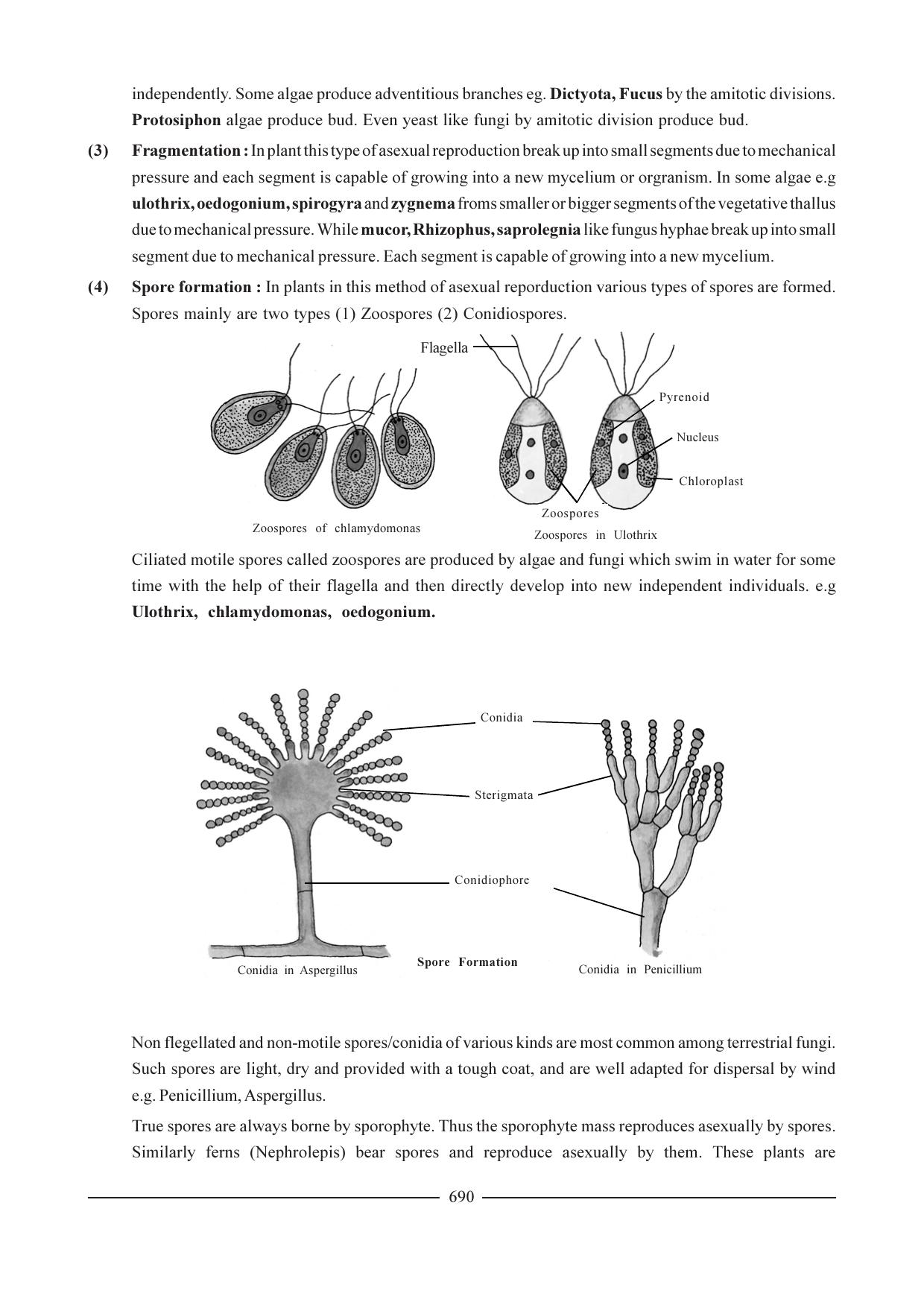 GSEB HSC Biology Question Paper (English Medium)- Chapter 33 - Page 8