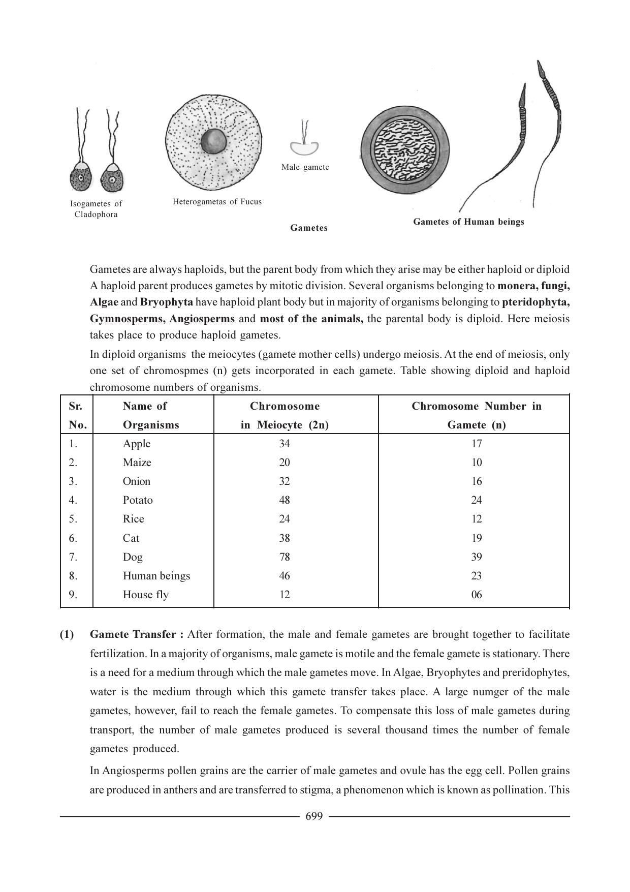 GSEB HSC Biology Question Paper (English Medium)- Chapter 33 - Page 17