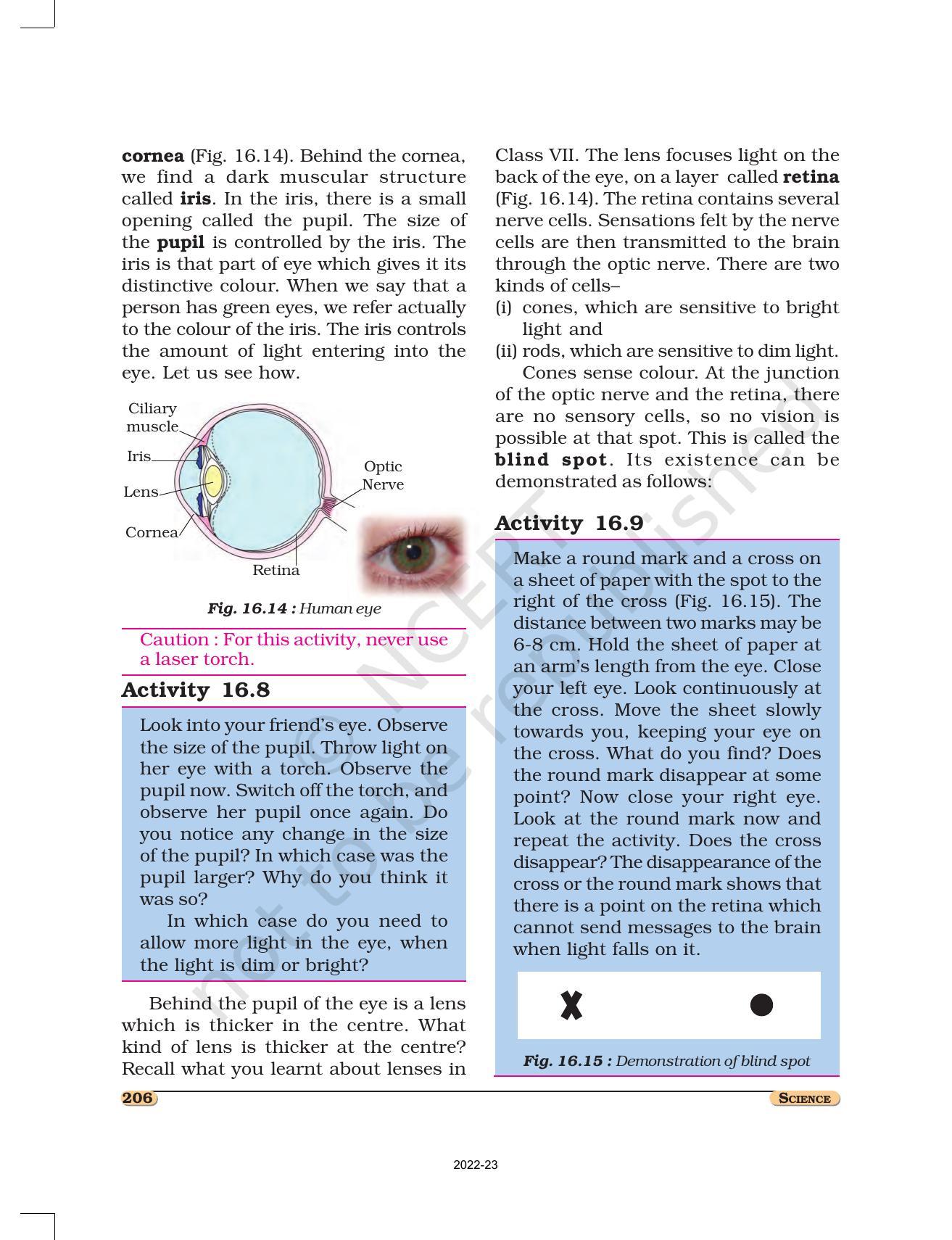 NCERT Book for Class 8 Science Chapter 16 Light - Page 8
