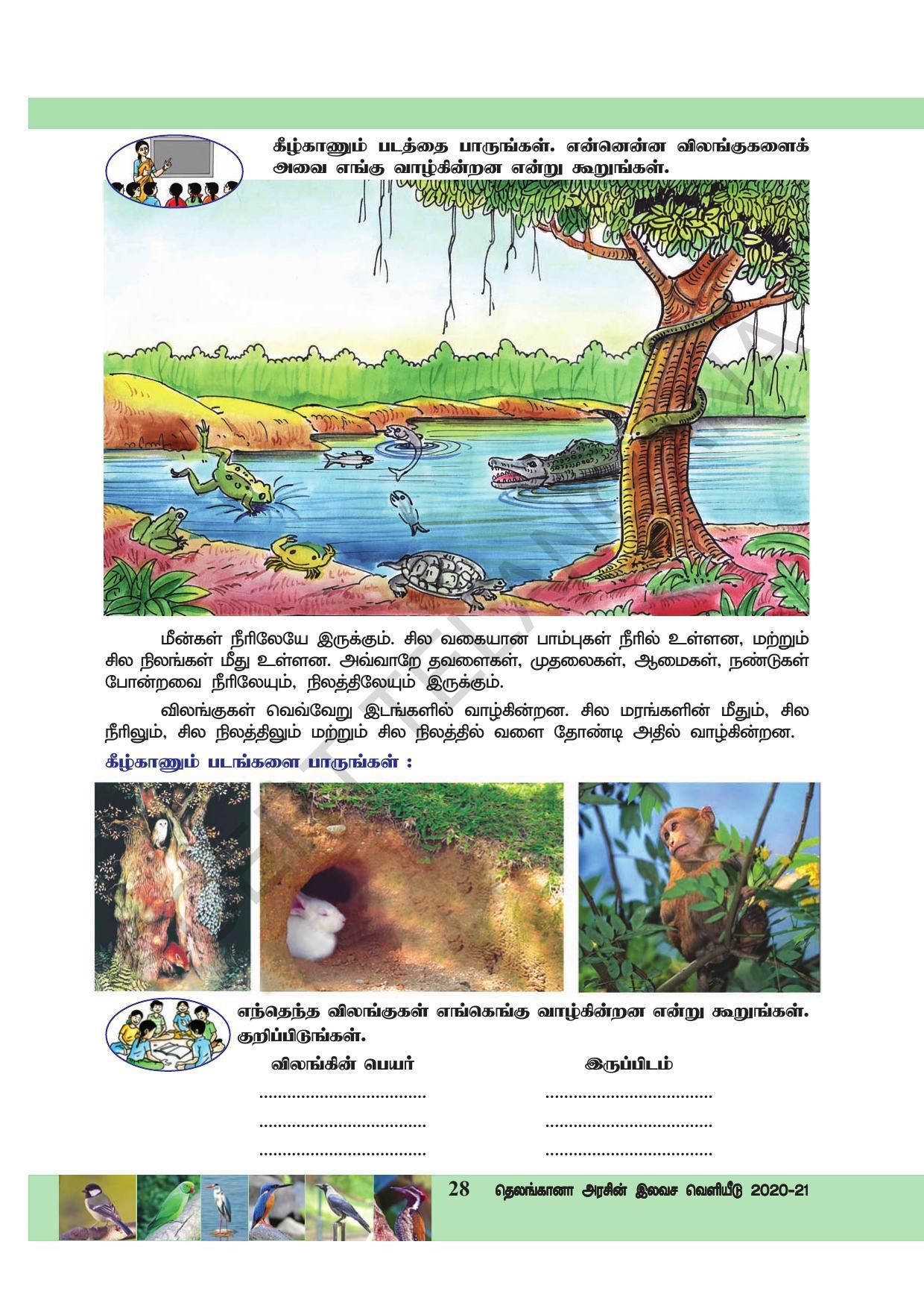 TS SCERT Class 3 Environmental Science  (Tamil Medium) Text Book - Page 39
