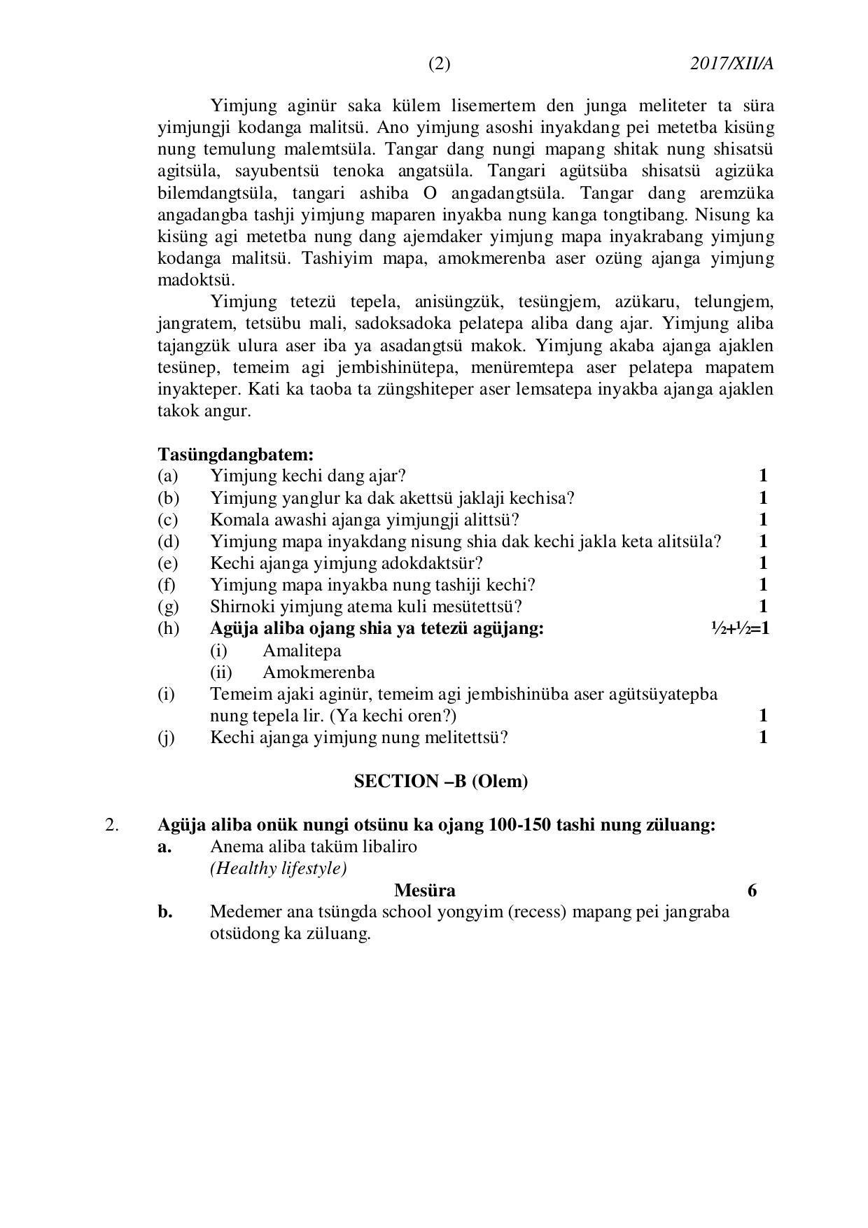 Nagaland Board Class 12 AO 2017 Question Papers - Page 2