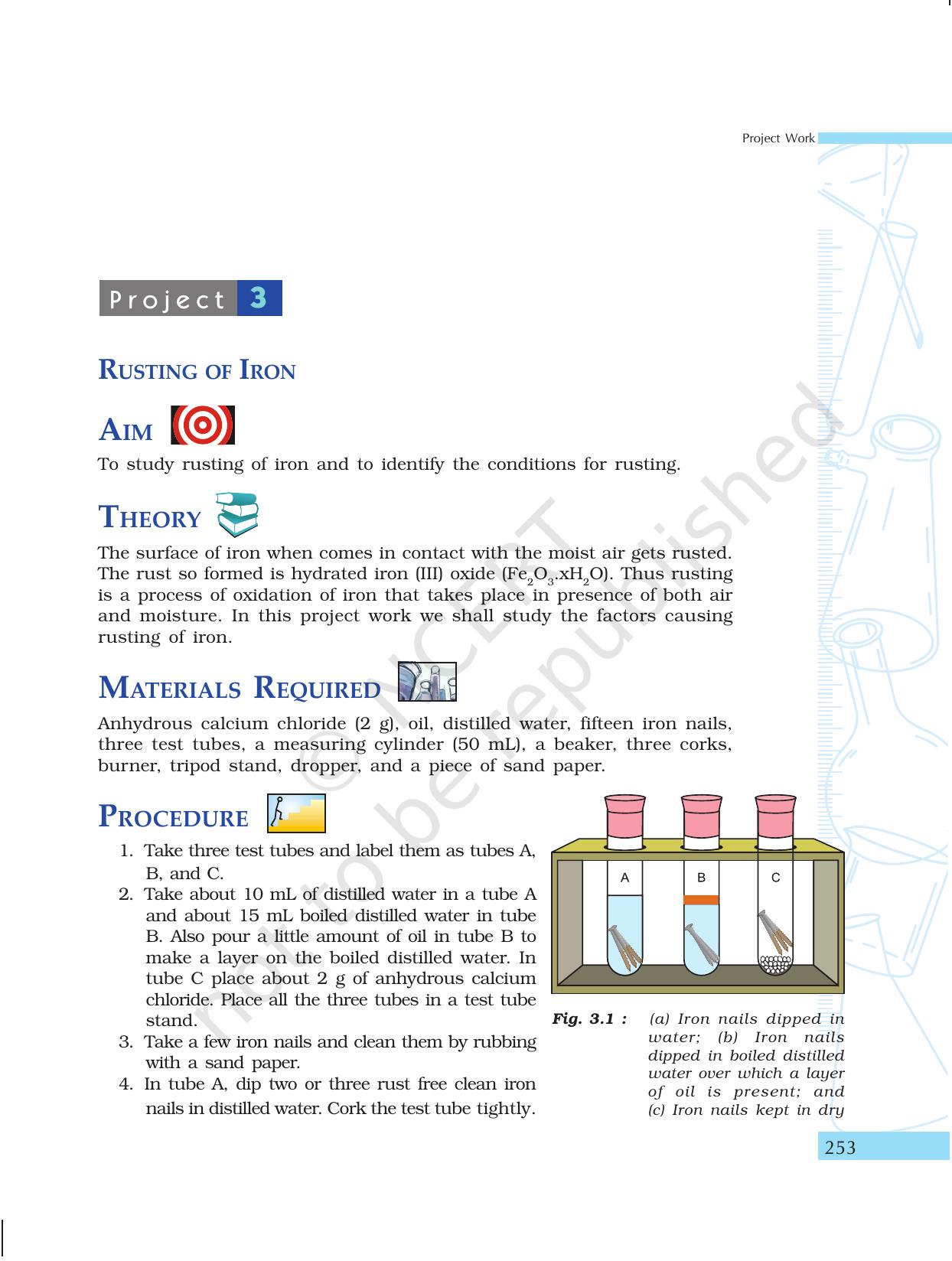 NCERT Laboratory Manuals for Class X Science - Project Work - Page 13
