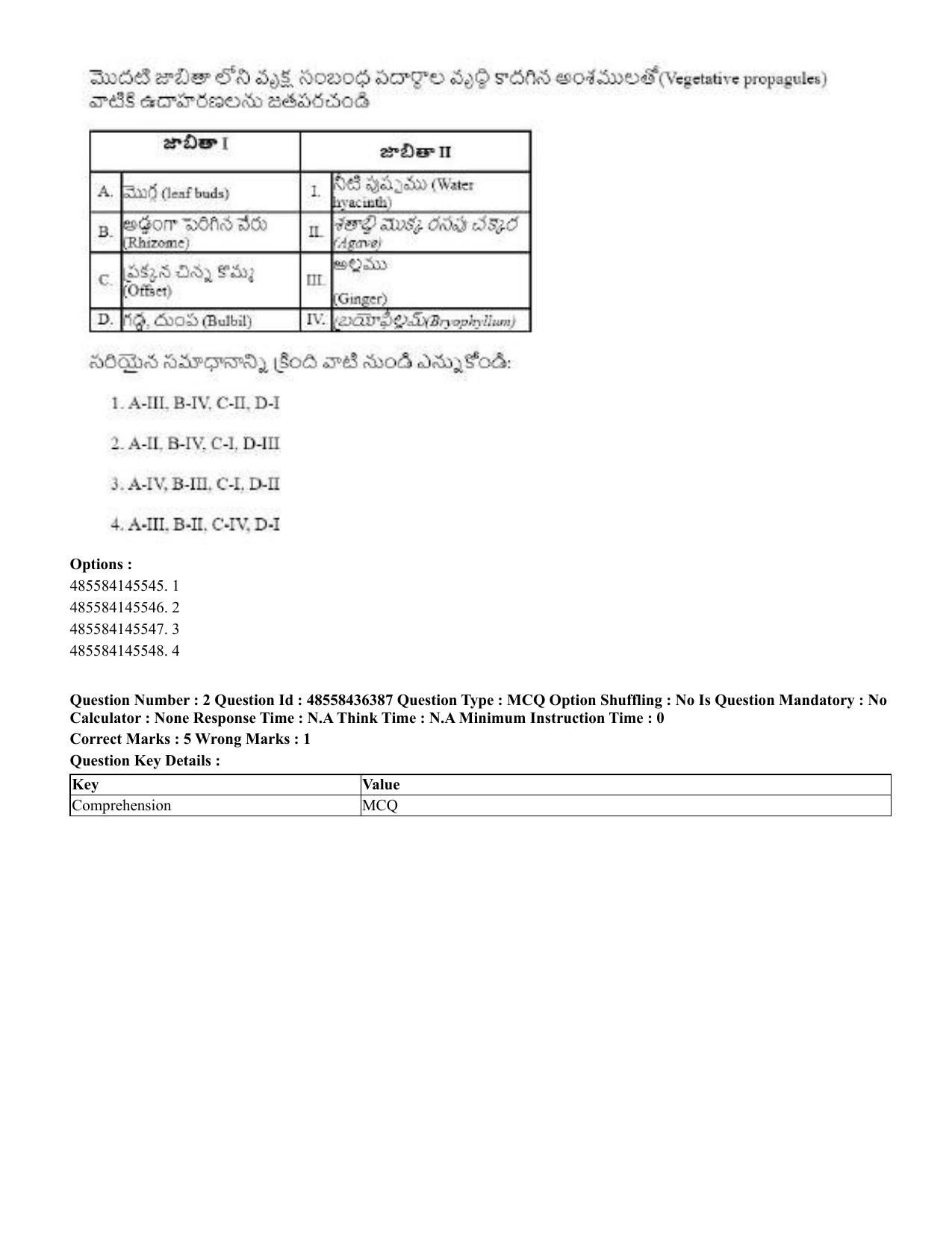 CUET 2023 International Shift 3 Question Papers - 22 June 2023 - Page 17