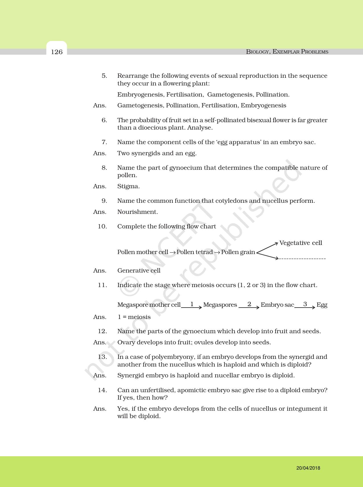 NCERT Exemplar Class 12: Biology - Answers to Descriptive Questions - Page 2
