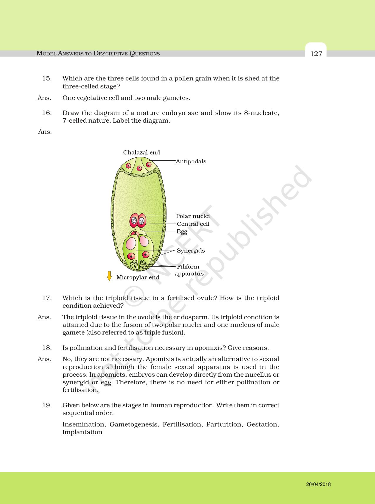 NCERT Exemplar Class 12: Biology - Answers to Descriptive Questions - Page 3