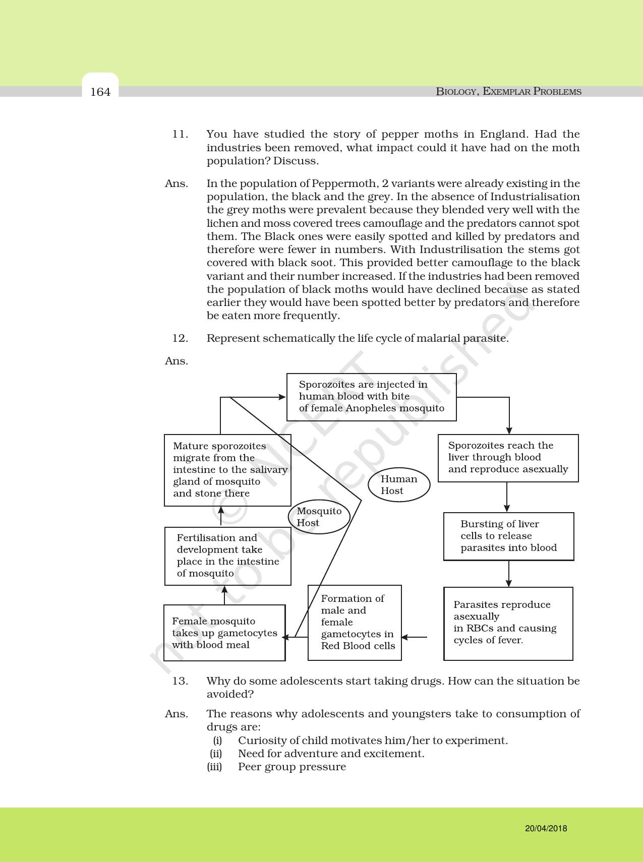 NCERT Exemplar Class 12: Biology - Answers to Descriptive Questions - Page 40