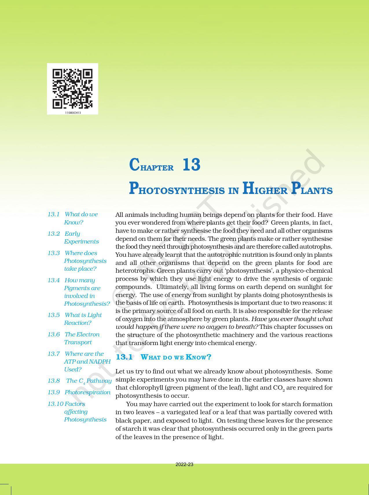 NCERT Book for Class 11 Biology Chapter 13 Photosynthesis in Higher Plants - Page 1