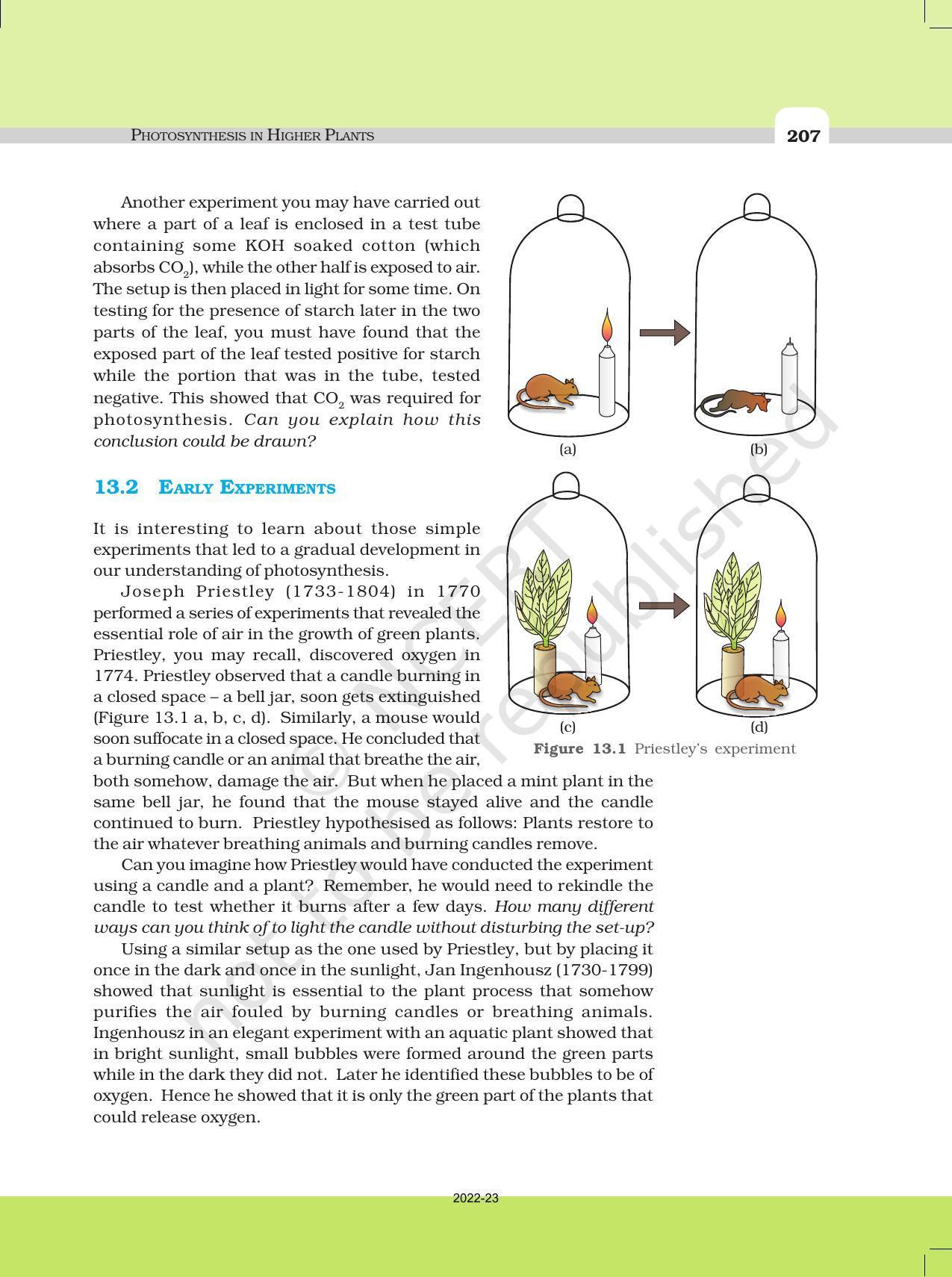 NCERT Book for Class 11 Biology Chapter 13 Photosynthesis in Higher Plants - Page 2