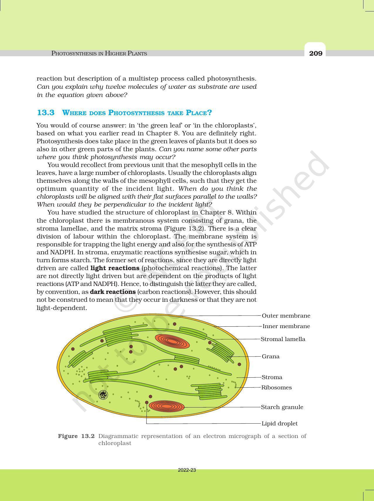 NCERT Book for Class 11 Biology Chapter 13 Photosynthesis in Higher Plants - Page 4