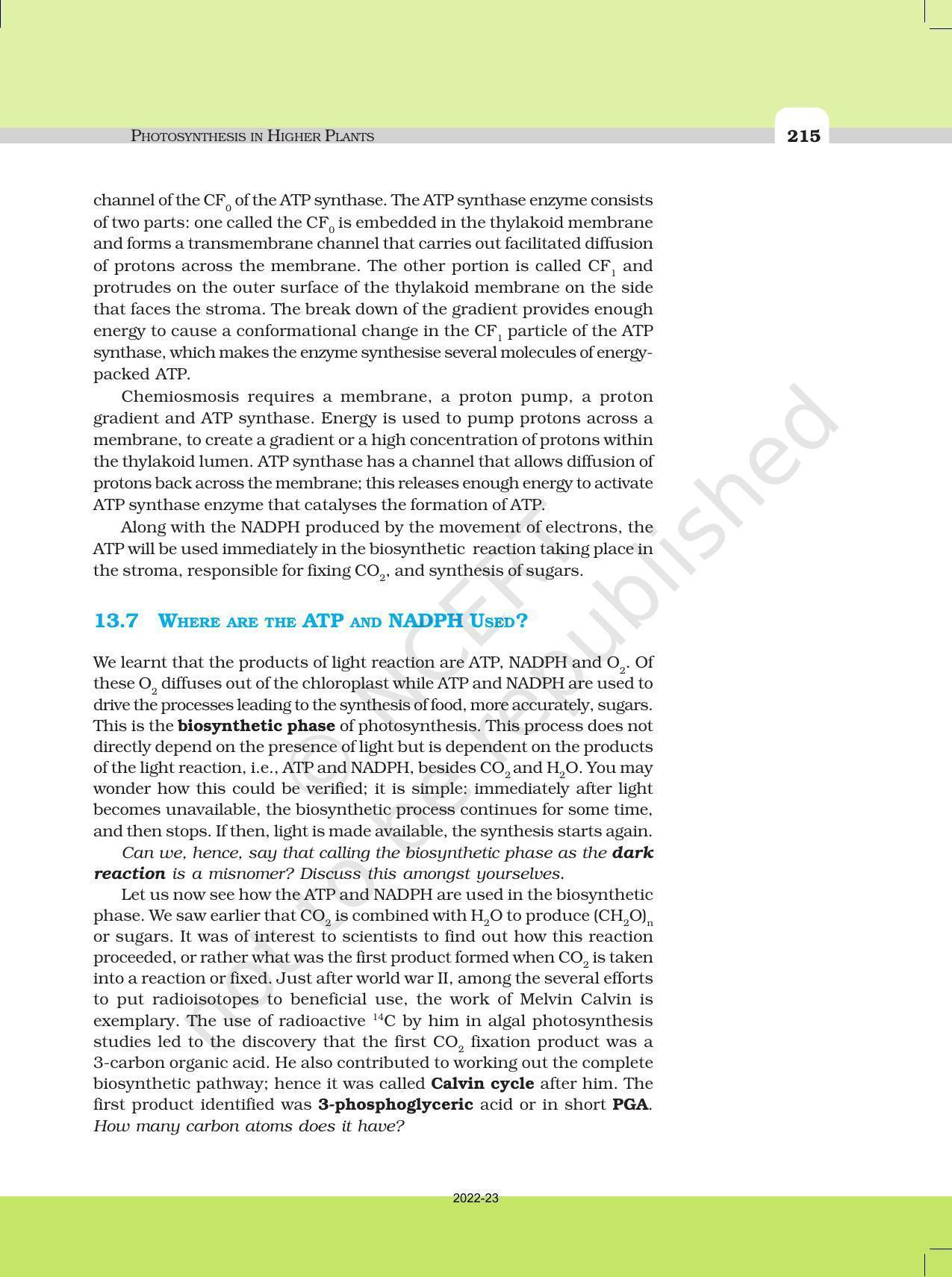 NCERT Book for Class 11 Biology Chapter 13 Photosynthesis in Higher Plants - Page 10