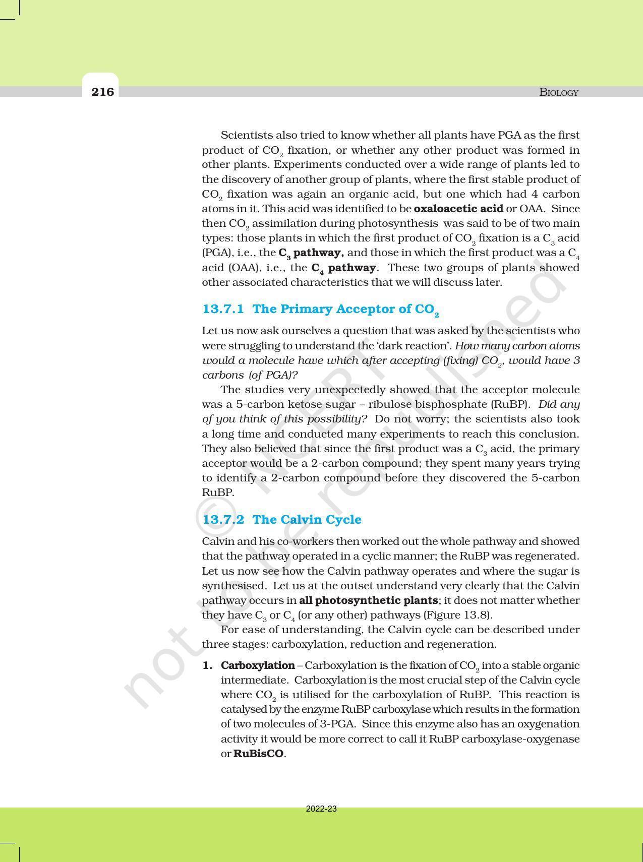 NCERT Book for Class 11 Biology Chapter 13 Photosynthesis in Higher Plants - Page 11