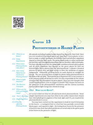 NCERT Book for Class 11 Biology Chapter 13 Photosynthesis in Higher Plants