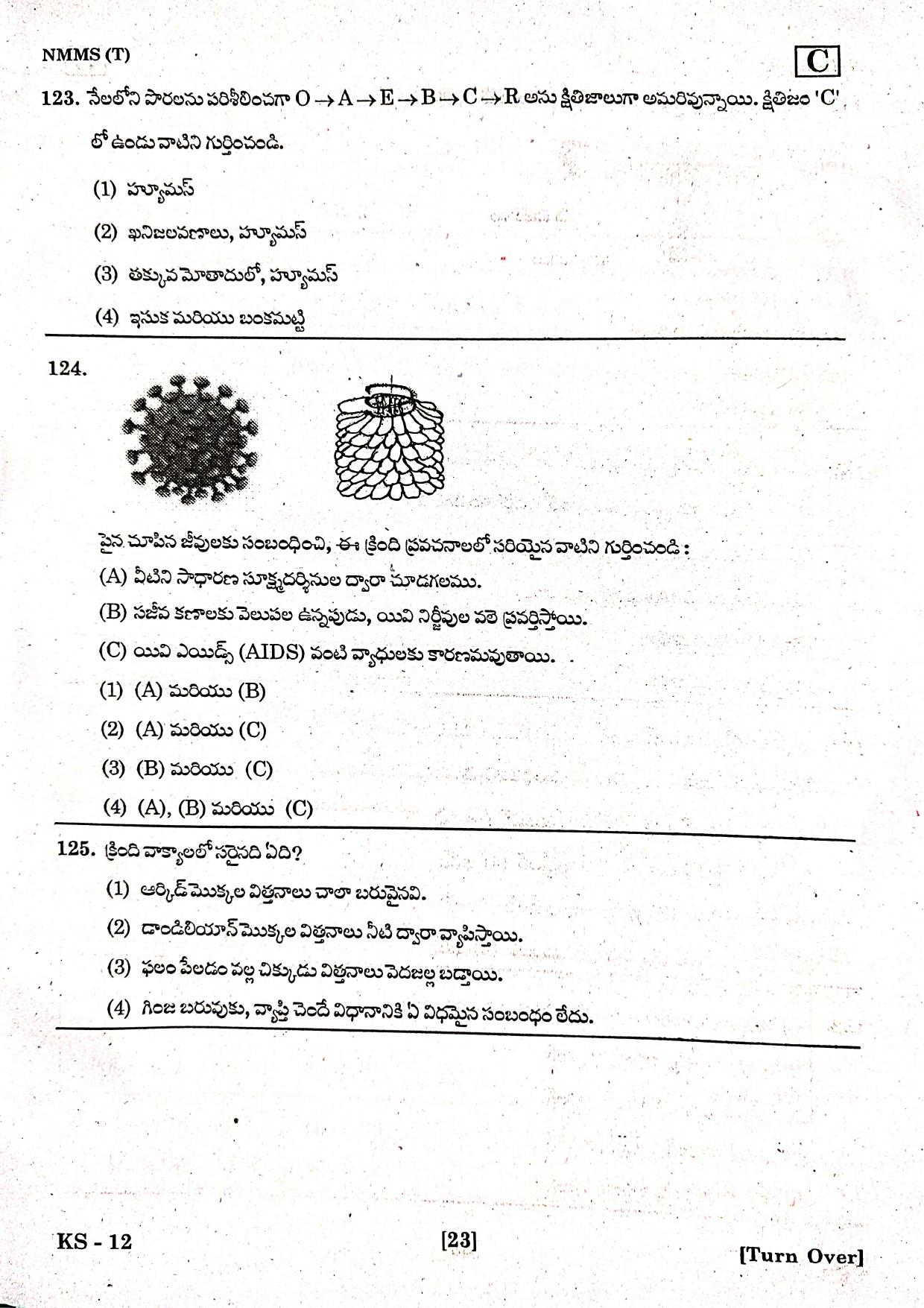 NMMS Feb 2021 - Booklet Code-C (Telugu Medium) - Page 19