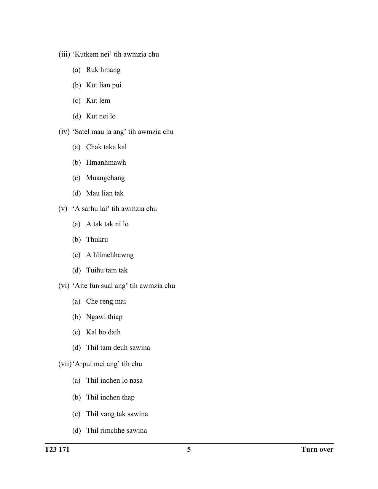 ICSE Class 10 MIZO 2023 Question Paper - Page 5