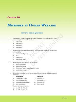 NCERT Exemplar Book for Class 12 Biology: Chapter 10 Microbes in Human Welfare