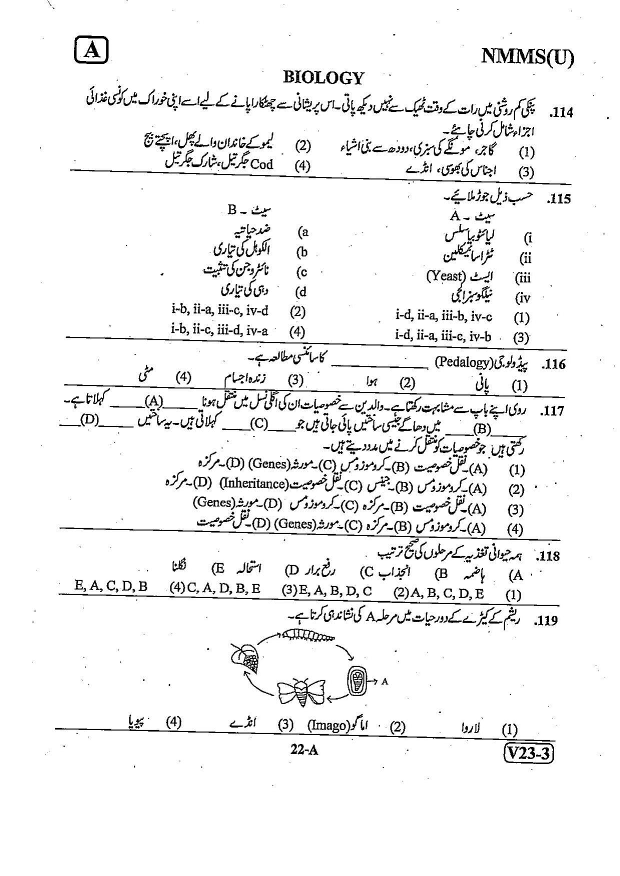 NMMS Question Papers FEBRUARY 2023 (Urdu Medium) - Page 22