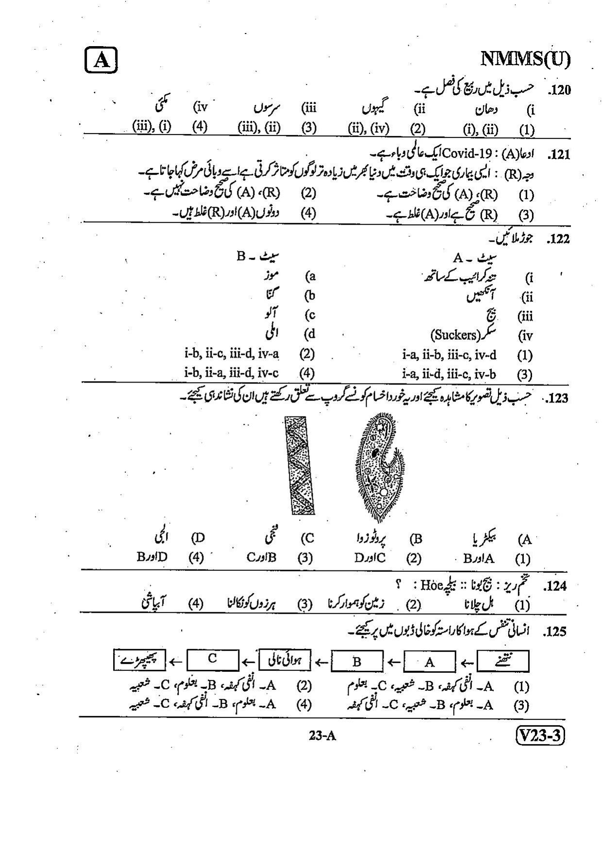 NMMS Question Papers FEBRUARY 2023 (Urdu Medium) - Page 23