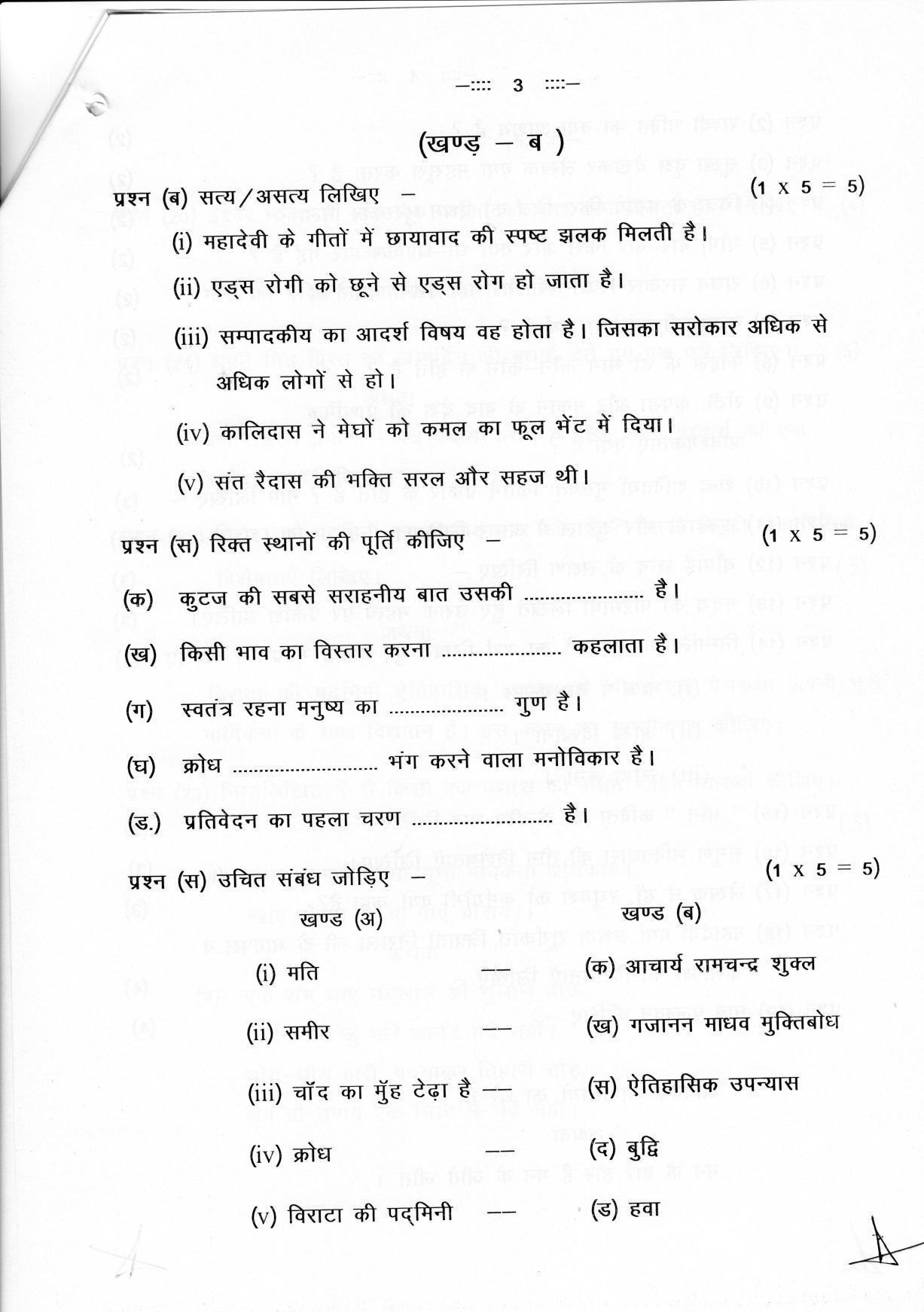 CGSOS Class 12 Hindi Paper II Model Paper - Page 3