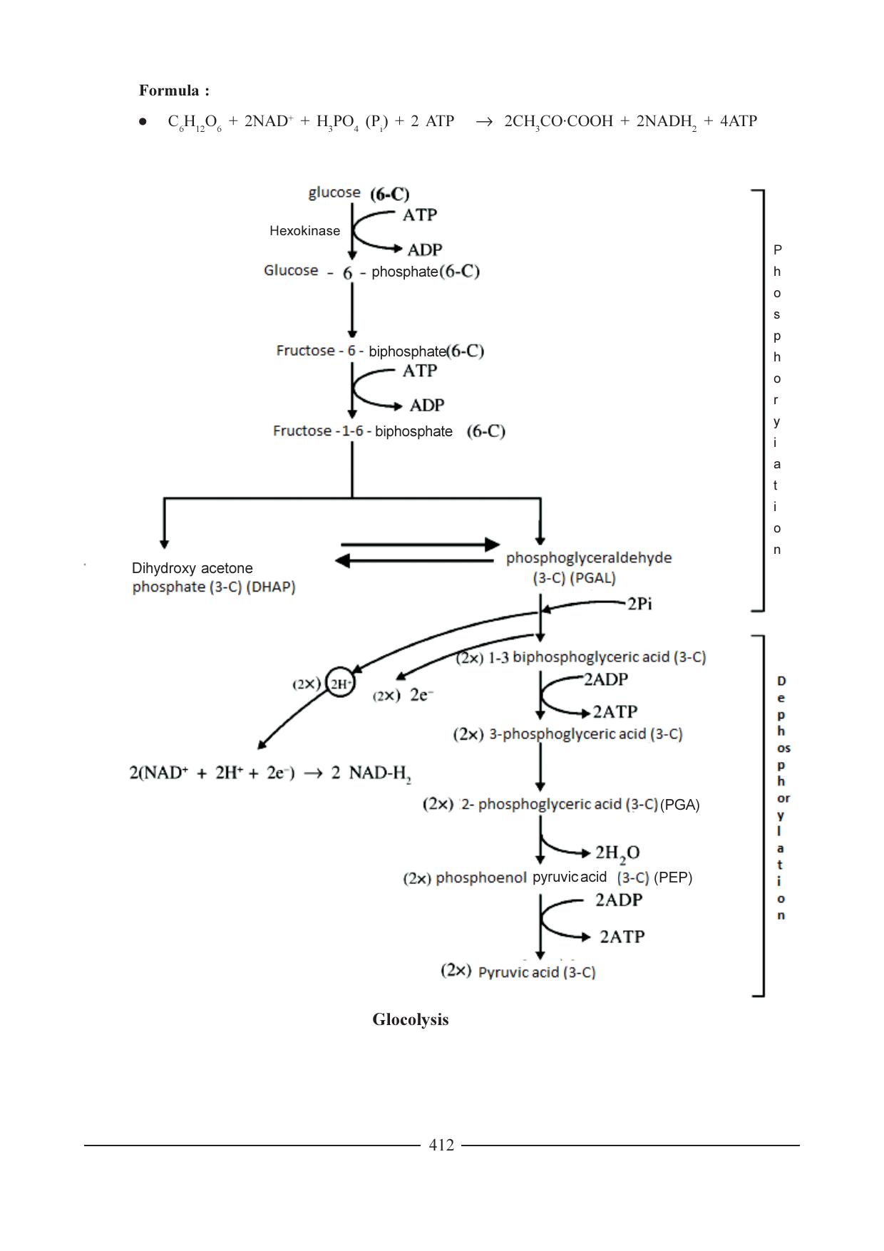 GSEB HSC Biology Question Paper (English Medium)- Chapter 21 - Page 3