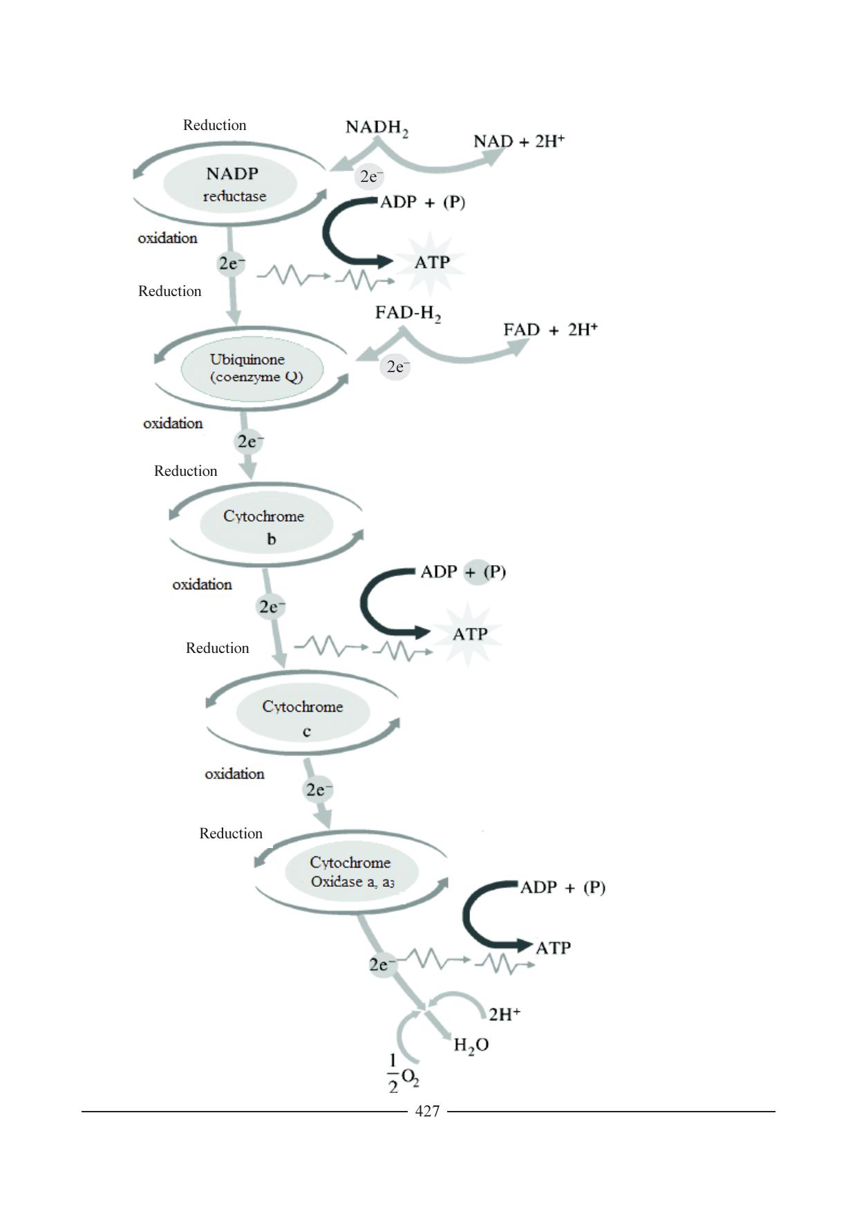GSEB HSC Biology Question Paper (English Medium)- Chapter 21 - Page 18