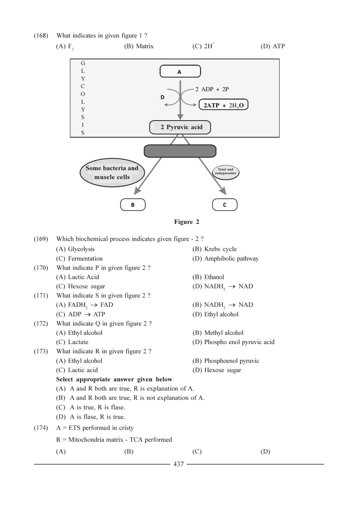 GSEB HSC Biology Question Paper (English Medium)- Chapter 21 - Page 28