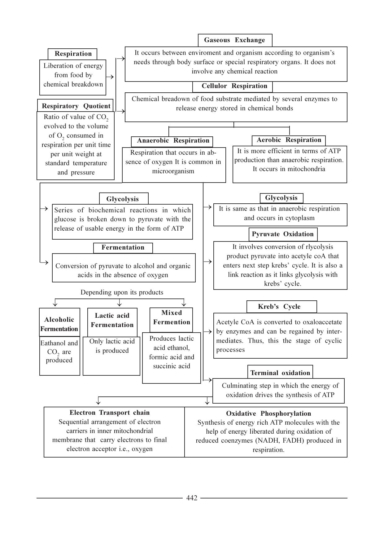 GSEB HSC Biology Question Paper (English Medium)- Chapter 21 - Page 33
