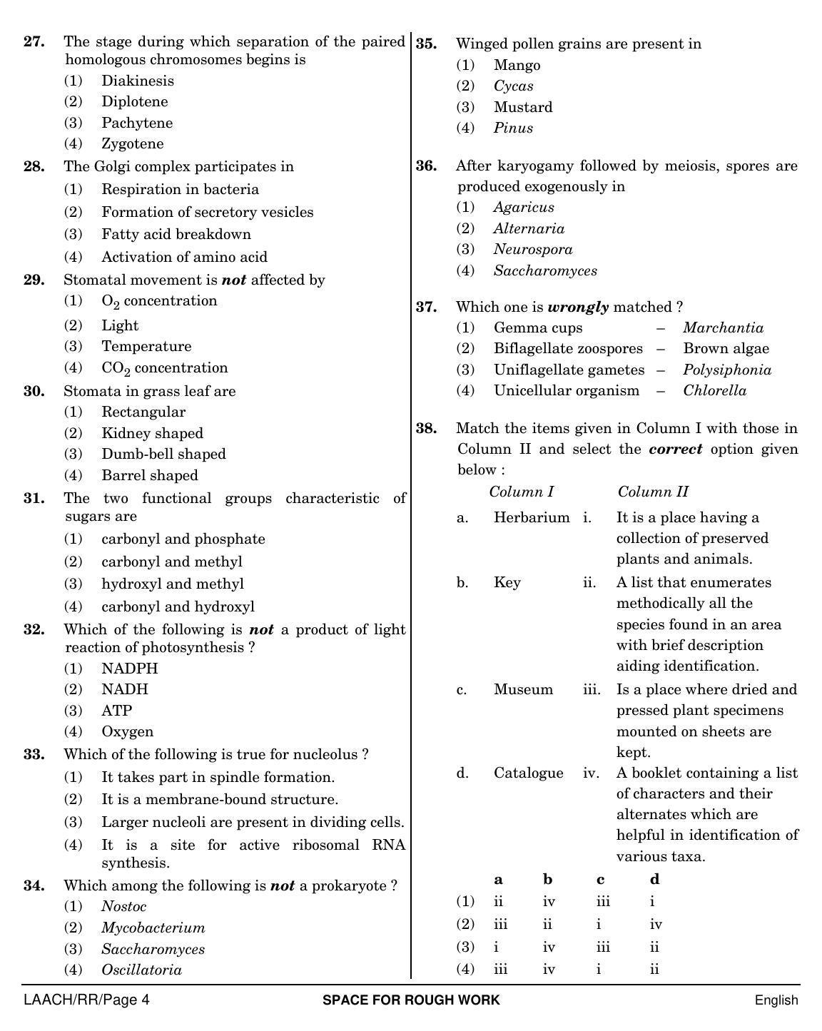 NEET English RR 2019 Question Paper - Page 4