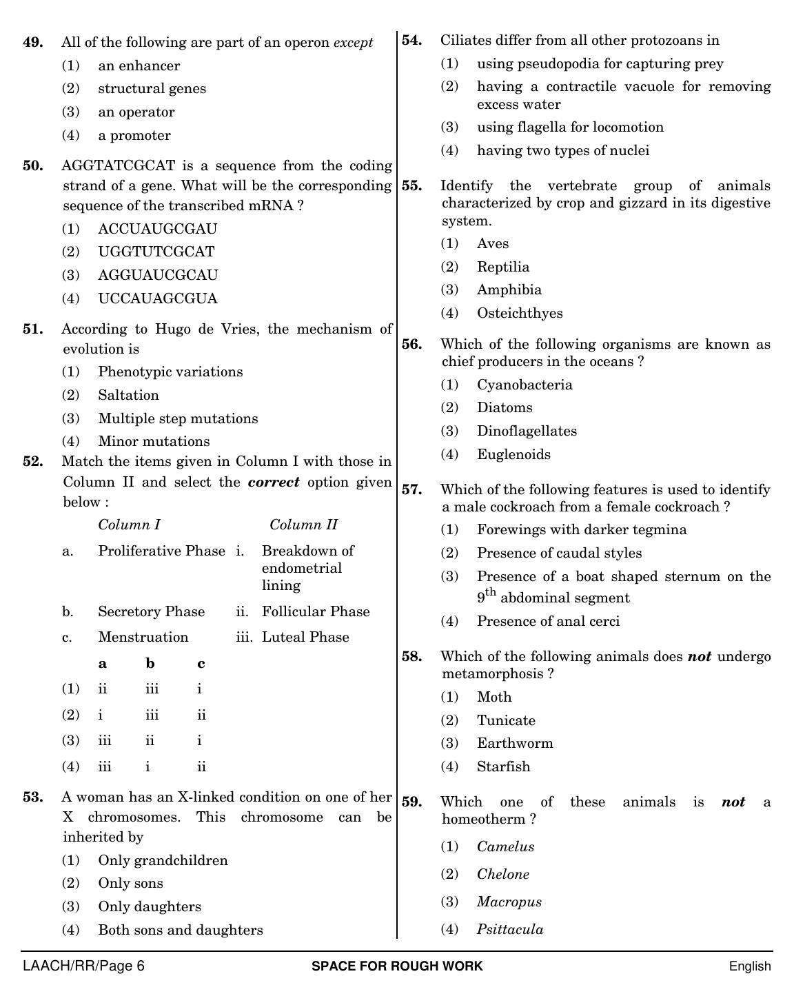 NEET English RR 2019 Question Paper - Page 6