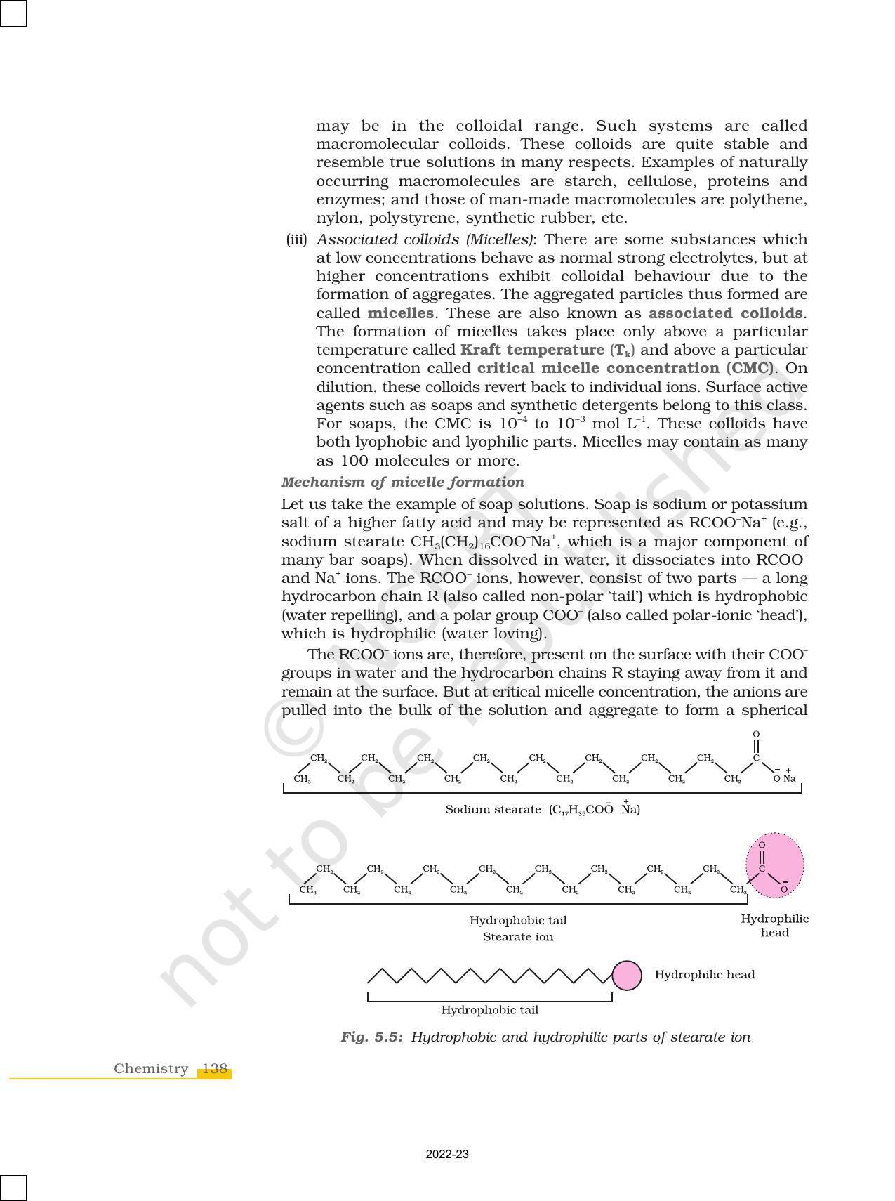 NCERT Book for Class 12 Chemistry Chapter 5 Surface chemistry - Page 16