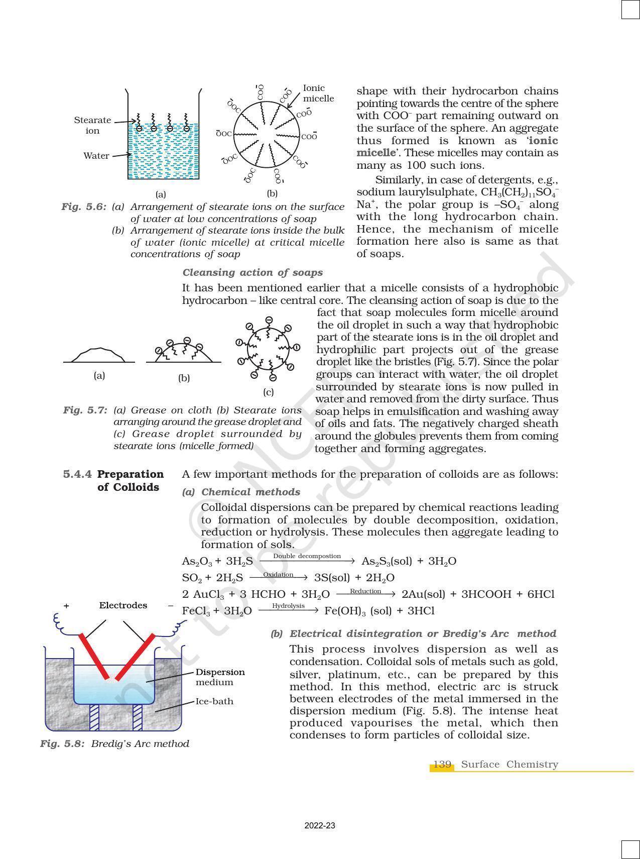 NCERT Book for Class 12 Chemistry Chapter 5 Surface chemistry - Page 17